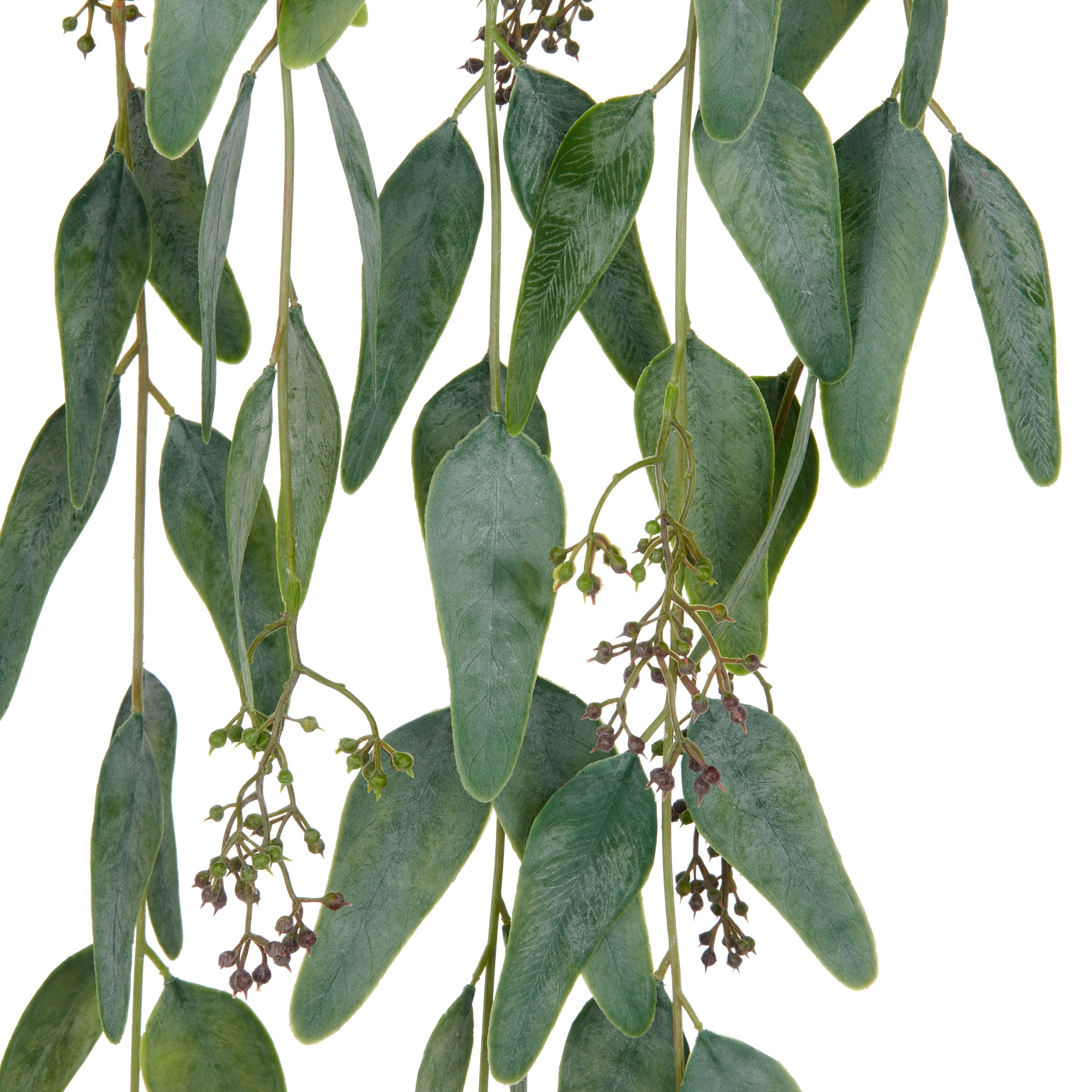 Creativ green Kunstranke »Eukalyptus« mit Fruchtständen