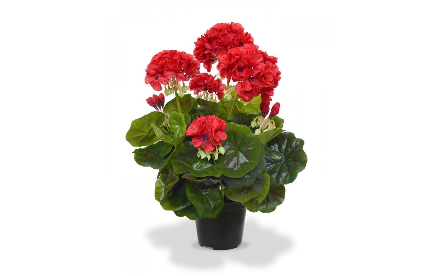 Image of Botanic-Haus Kunstblume "Geranien in Topf 40 cm"