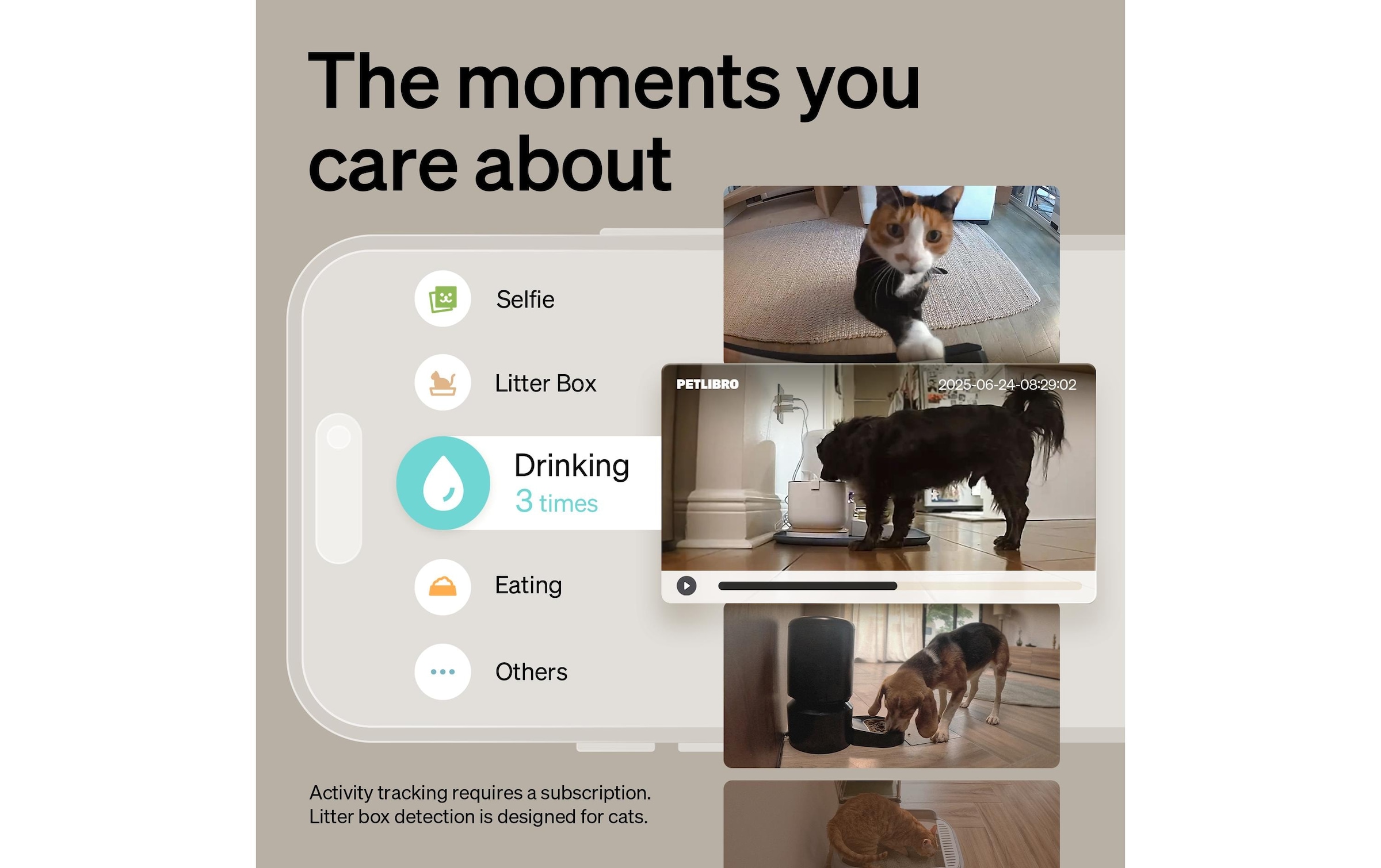   Caméra de surveillance »Petlibro Scout Smart AI Camera mit App«