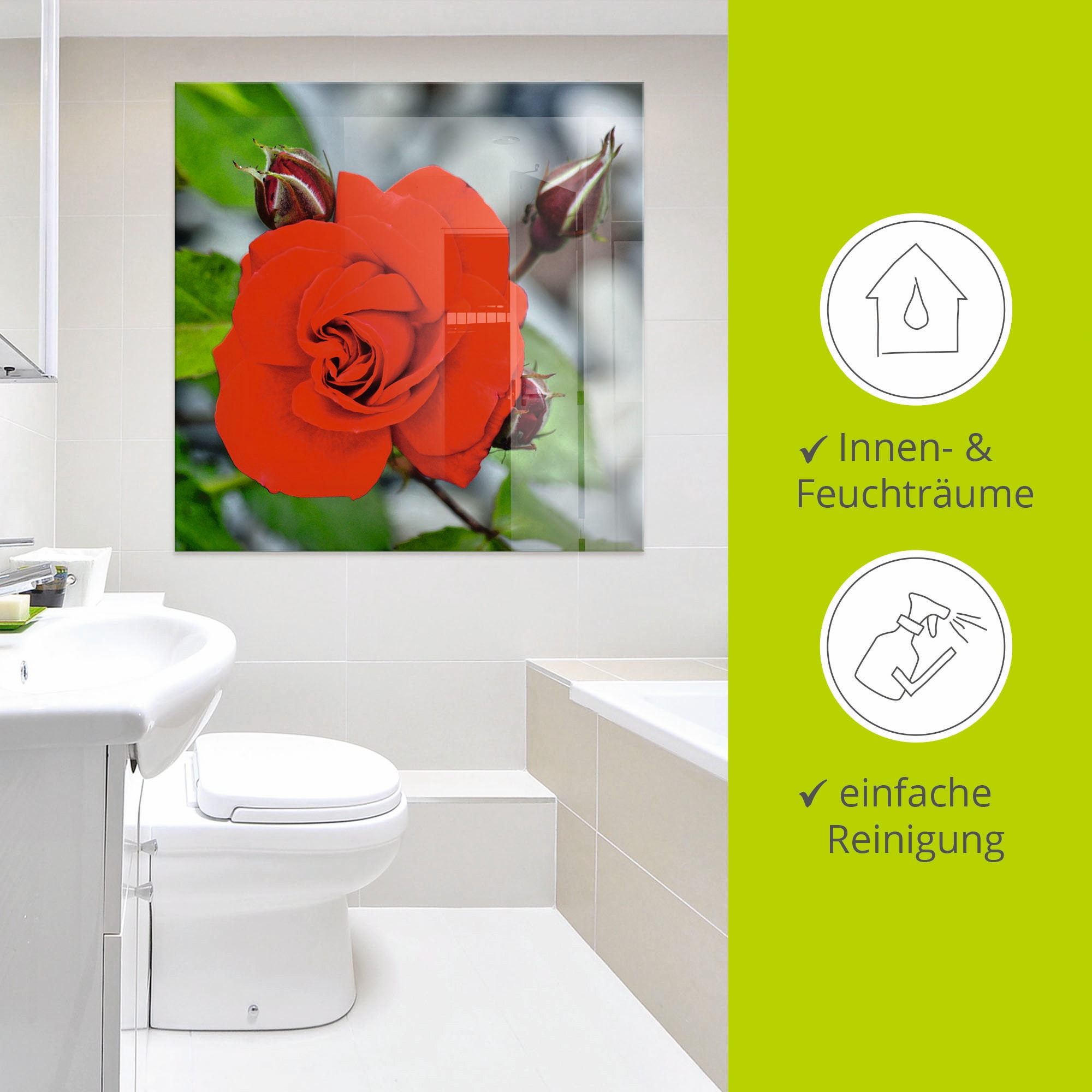 Artland Glasbild »Rote Rosenblüte mit Knospen«, Blumen, (1 St.), in verschiedenen Grössen