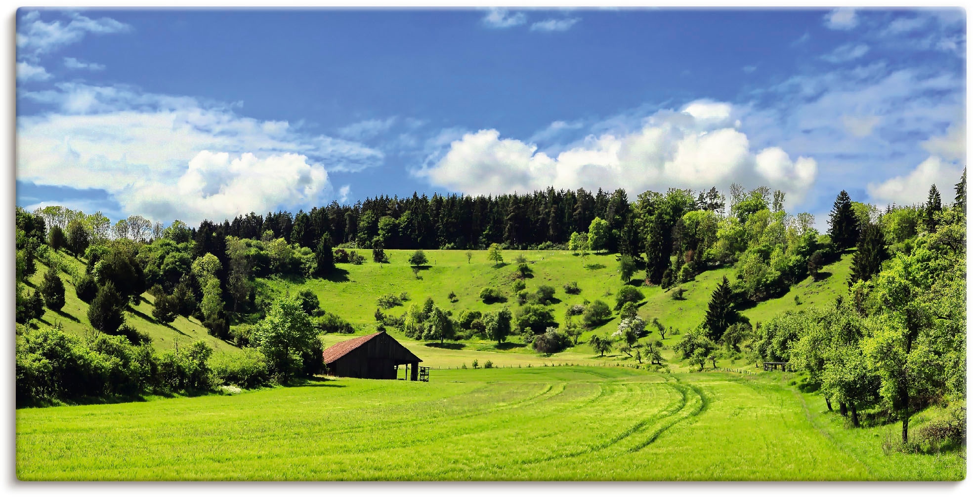 Artland Wandbild »Traumhafte Landschaft im Schwarzwald«, Wiesen & Baumbilder, (1 St.), als Alubild, Outdoorbild, Leinwandbild, Wandaufkleber, versch. Grössen