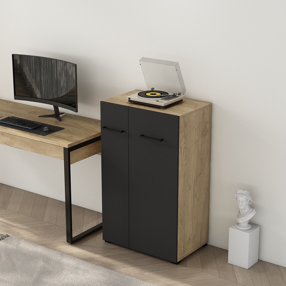 PLACES OF STYLE Aktenschrank »Moid; Mehrzweckschrank,« moderne Kommode mit viel Stauraum, Masse 64,5 x 41,5 x 106 cm