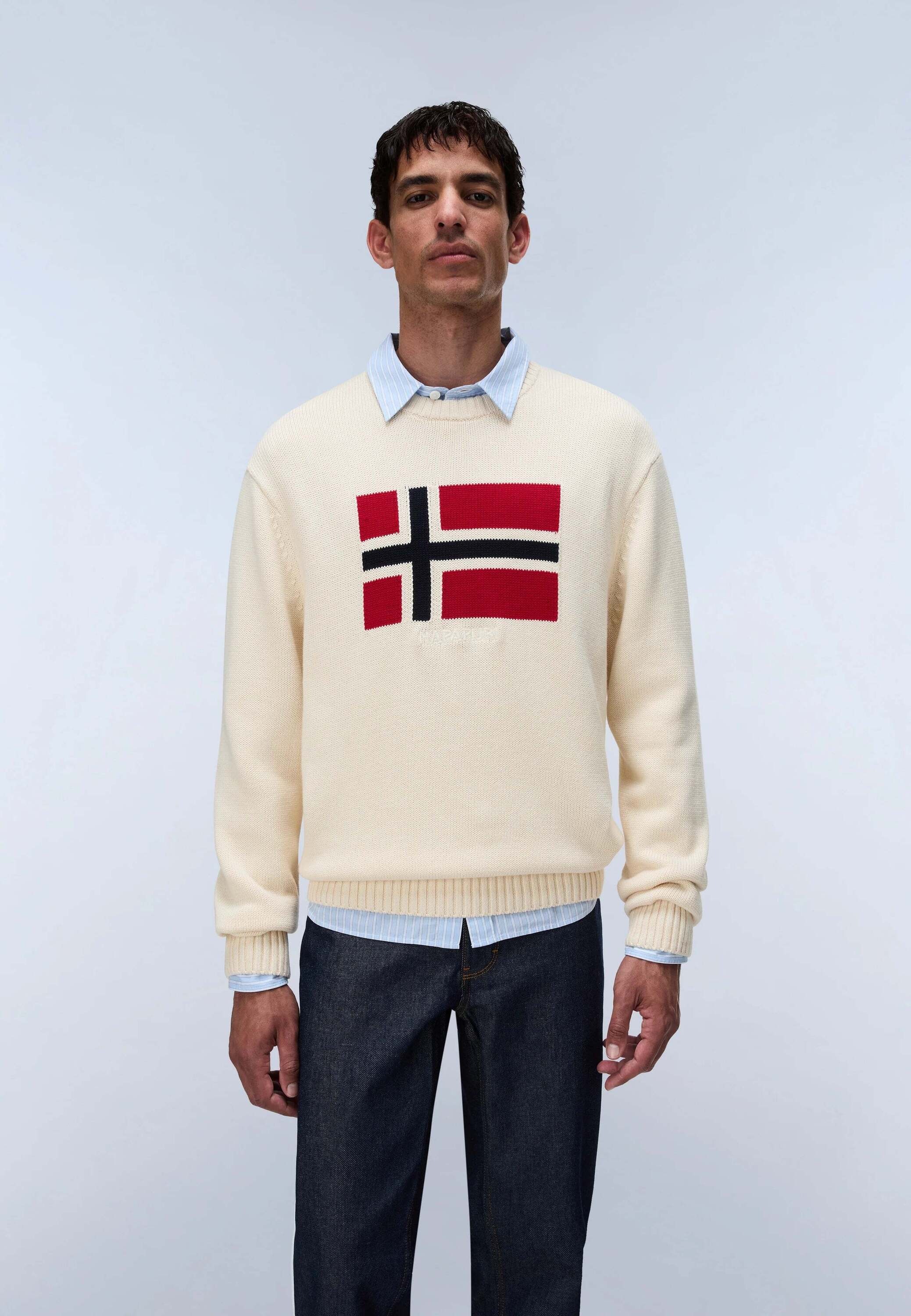 Napapijri Pull en tricot »Napapijri Pullover D-MURA C«