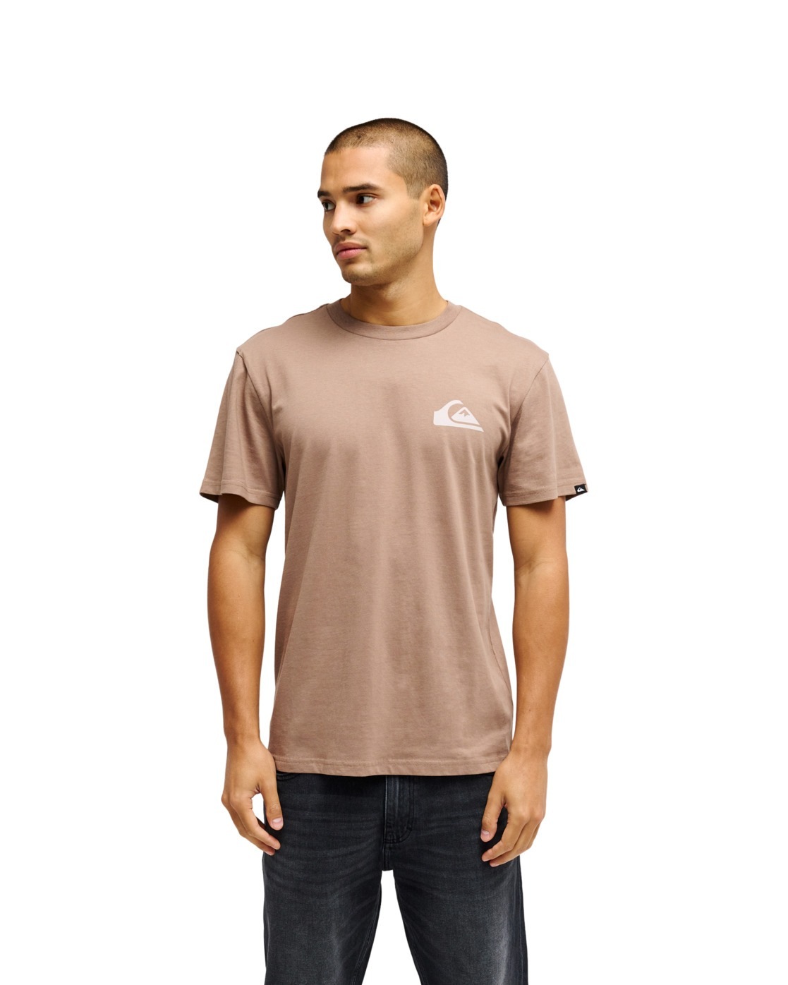 Image of Quiksilver T-Shirt "Ev Mini Logo"