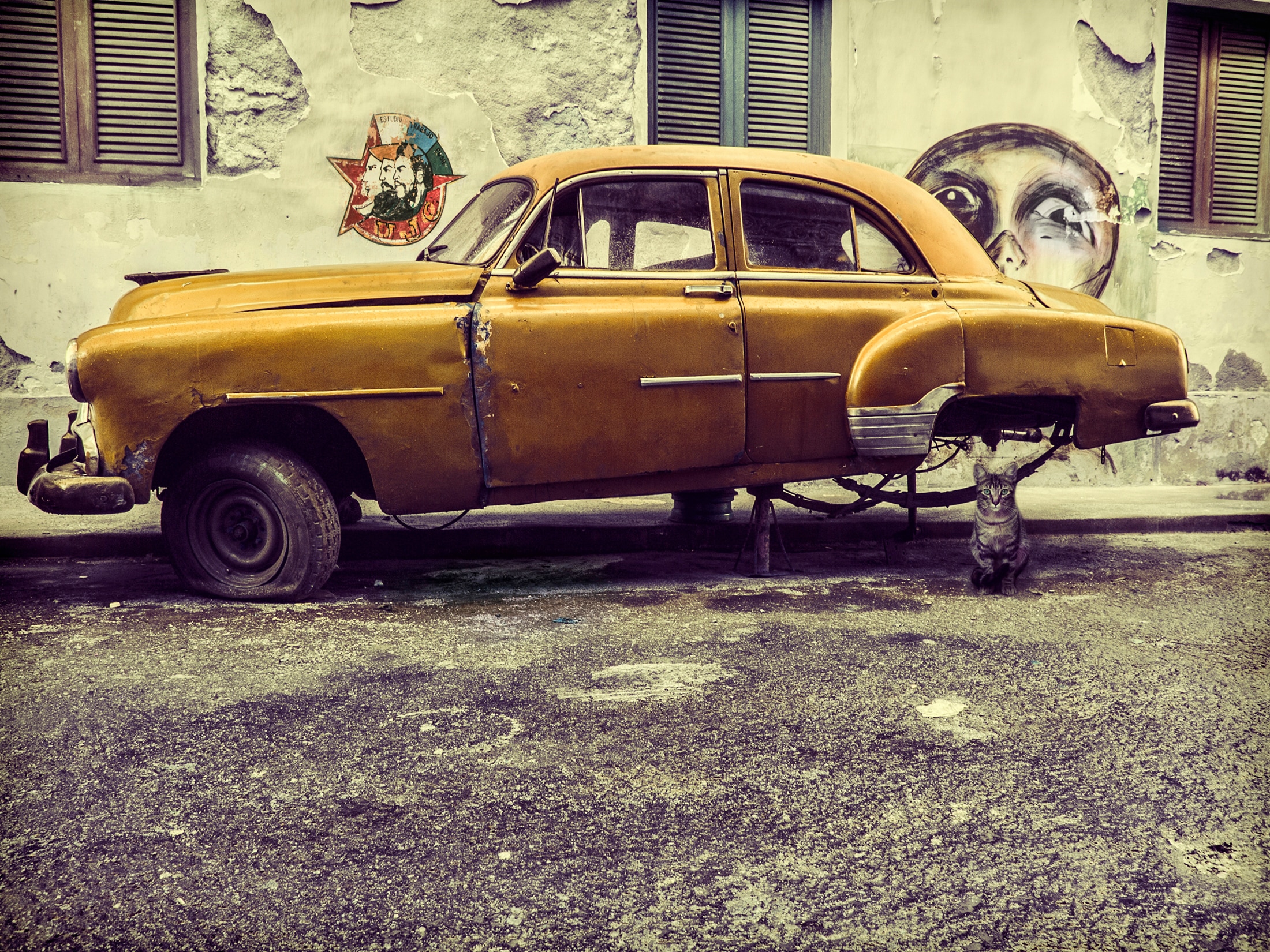 Image of Papermoon Fototapete "Photo-Art SVETLIN YOSIFOV, ALTES AUTO / KATZE"