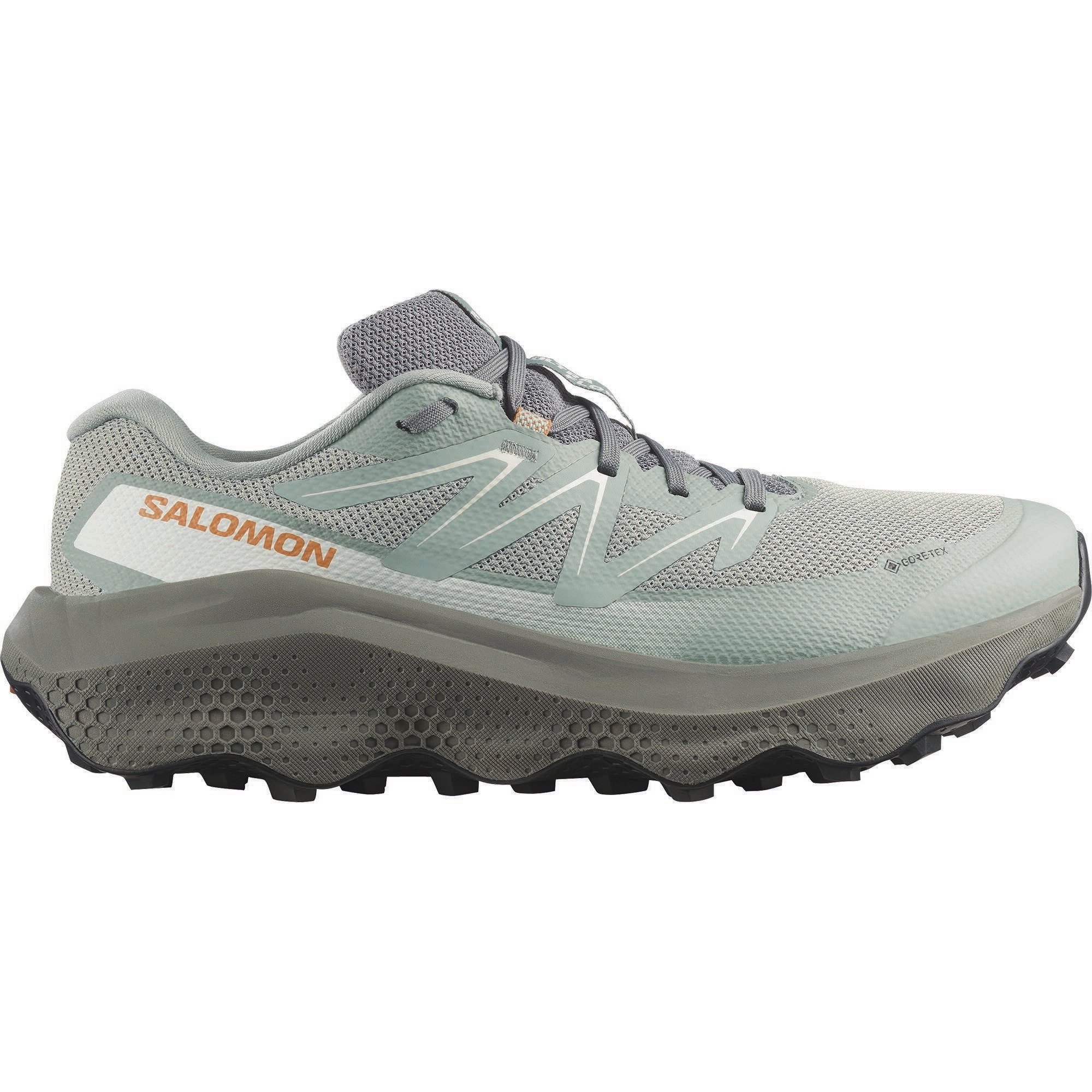 Salomon Chaussures de trail »ULTRA FLOW 2 GTX«  étanche