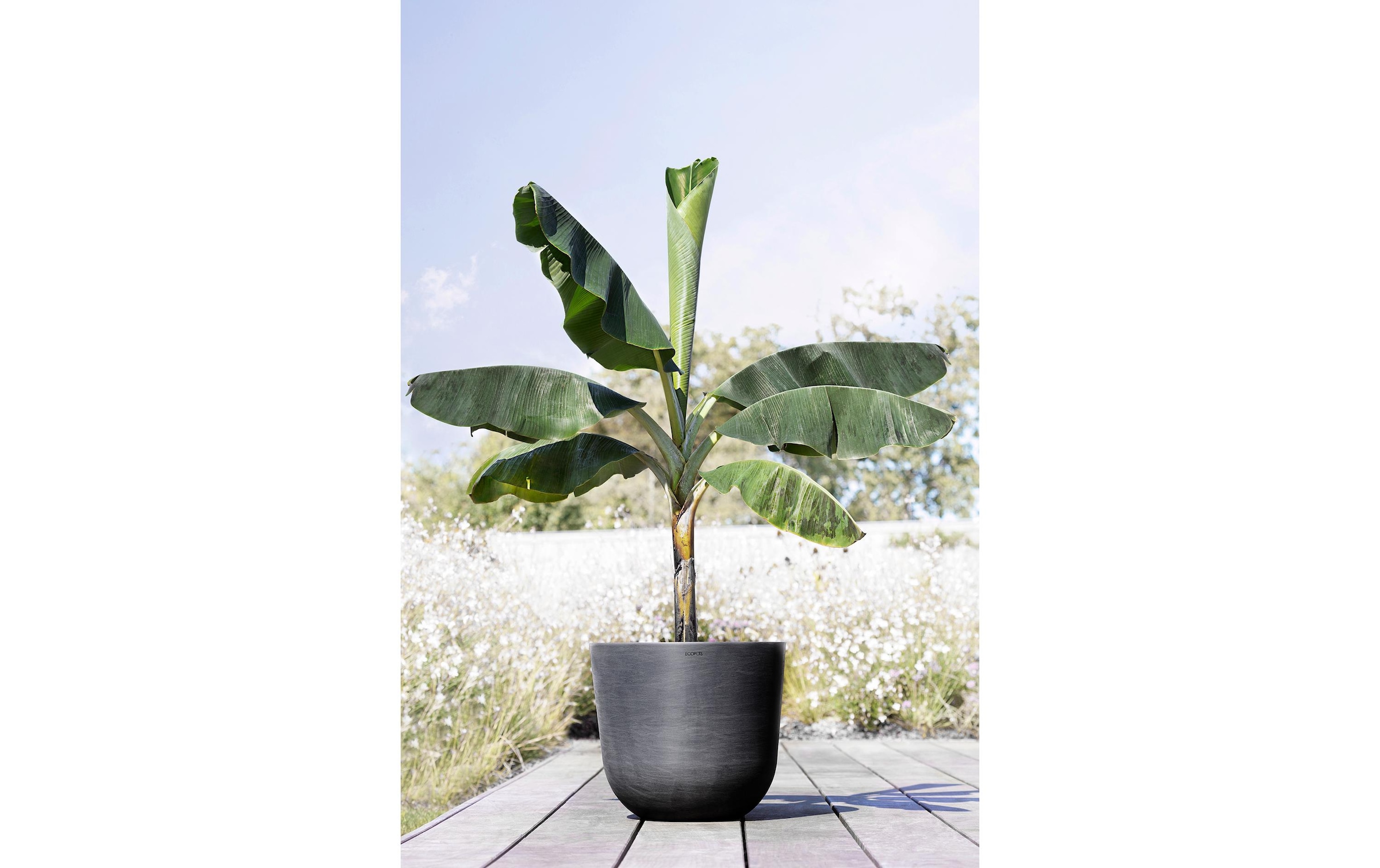 ECOPOTS Blumentopf »Oslo 55 Dunkel«