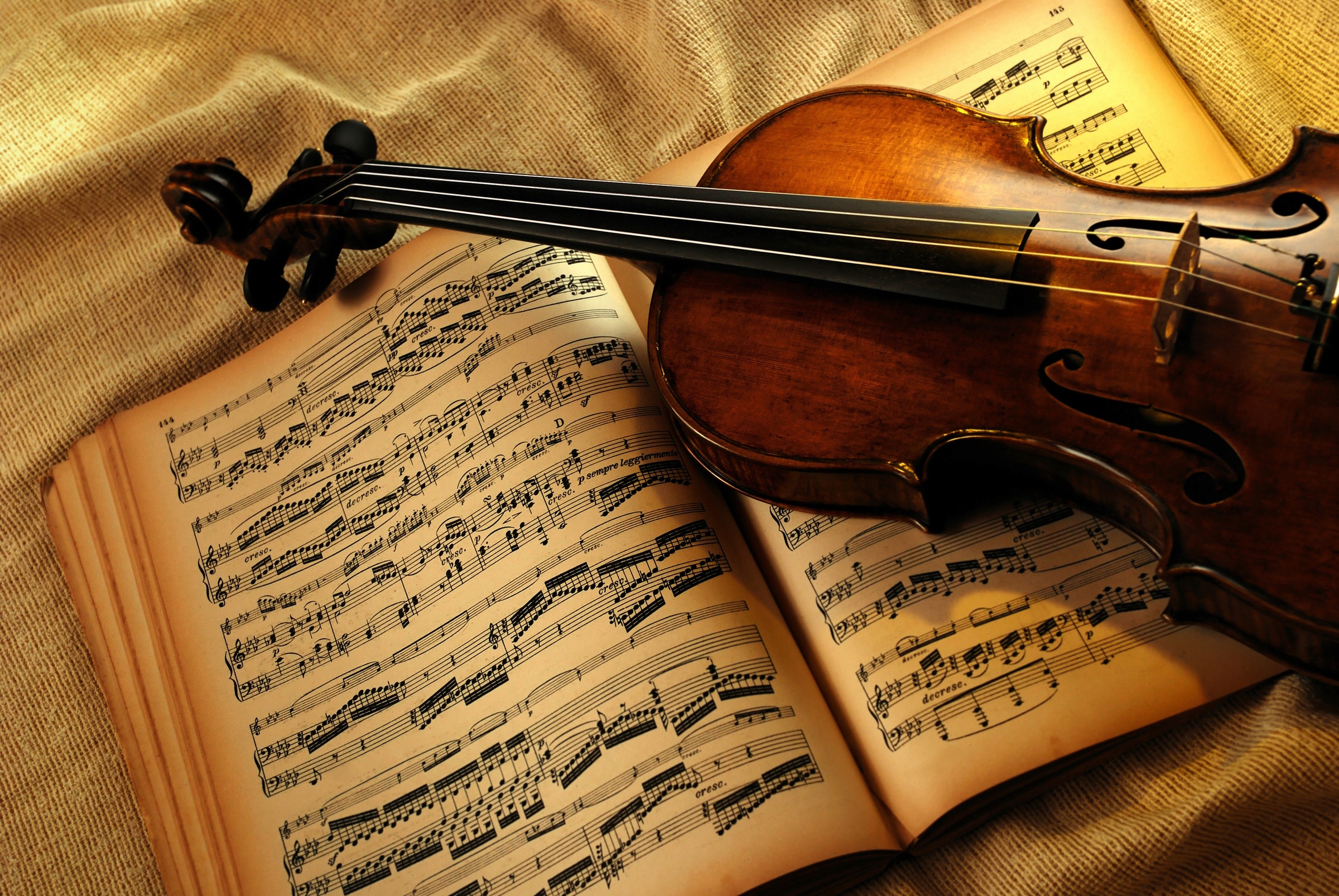 Image of Papermoon Fototapete »VIOLINE-MUSIK KUNST RETRO VINTAGE GEIGE INSTRUMENT STEG«, Vliestapete, hochwertiger Digitaldruck, inklusive Kleister bei Ackermann Versand Schweiz