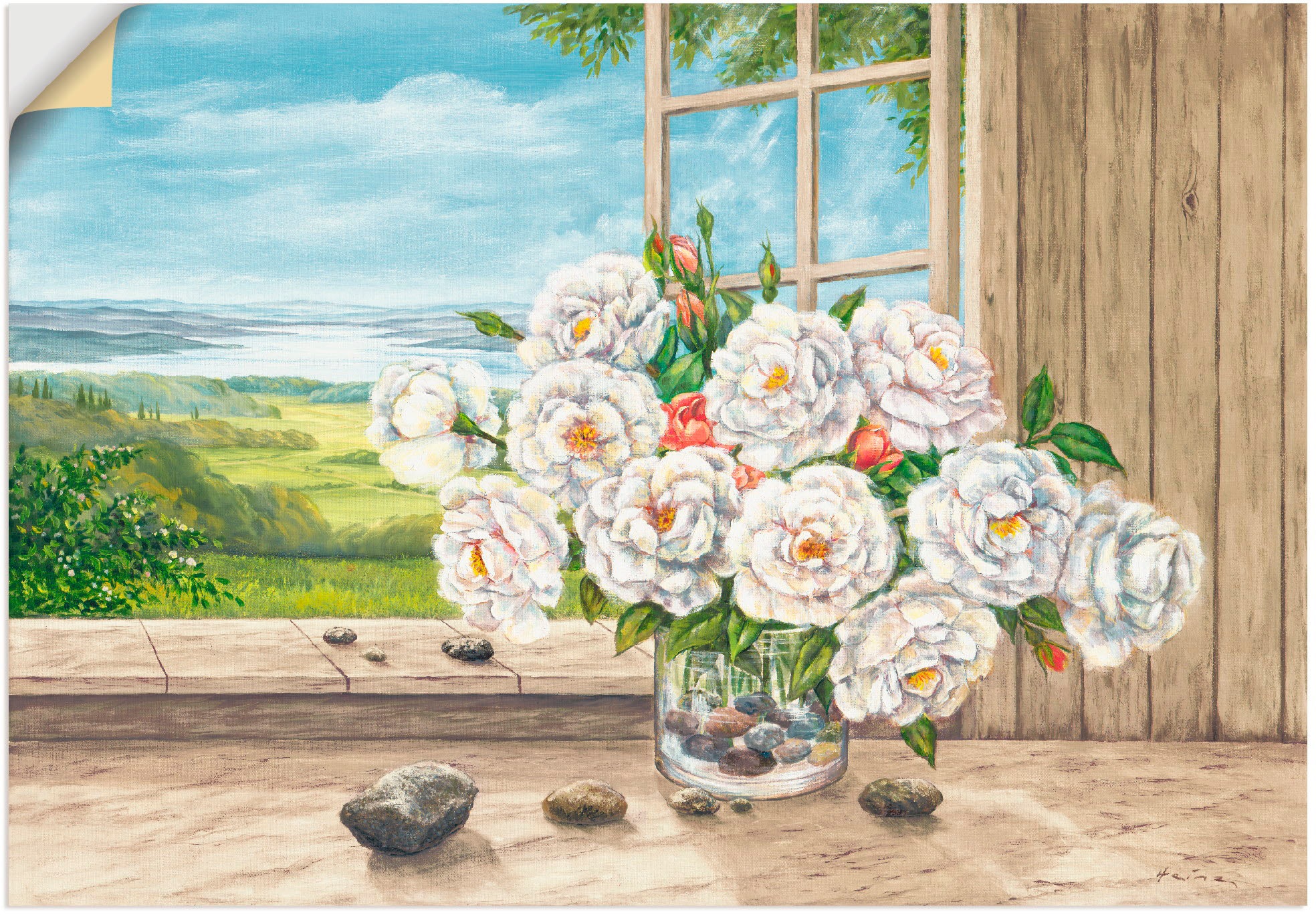 Image of Artland Wandbild »Weisse Rosen am Fenster«, Blumen, (1 St.), in vielen Grössen & Produktarten - Alubild / Outdoorbild für den Aussenbereich, Leinwandbild, Poster, Wandaufkleber / Wandtattoo auch für Badezimmer geeignet bei Ackermann Versand Schweiz