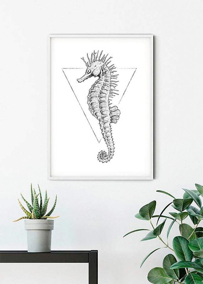 Komar Image »Sea Horse White« 1 cuis tlg. Wandbild zur Dekoration - ohne Rahmen