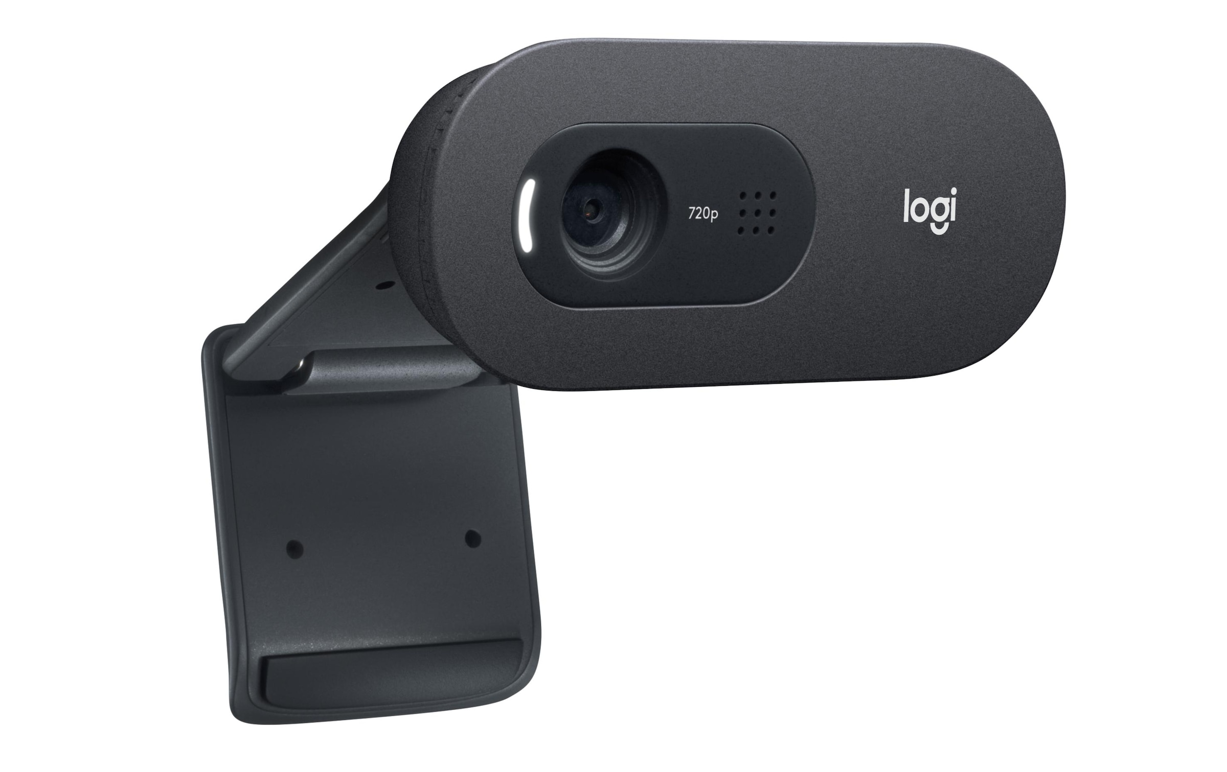 Logitech Webcam »C505e HD Bulk«