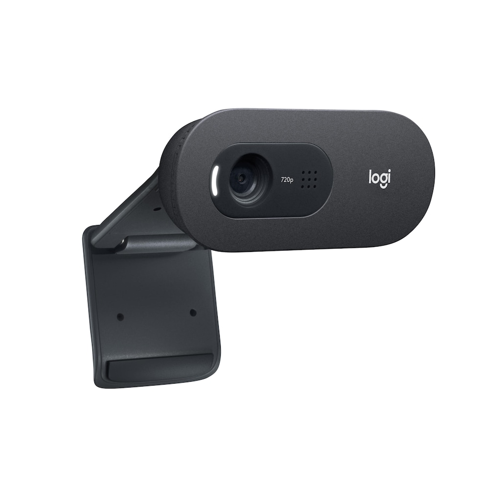 Logitech Webcam »C505e HD Bulk«