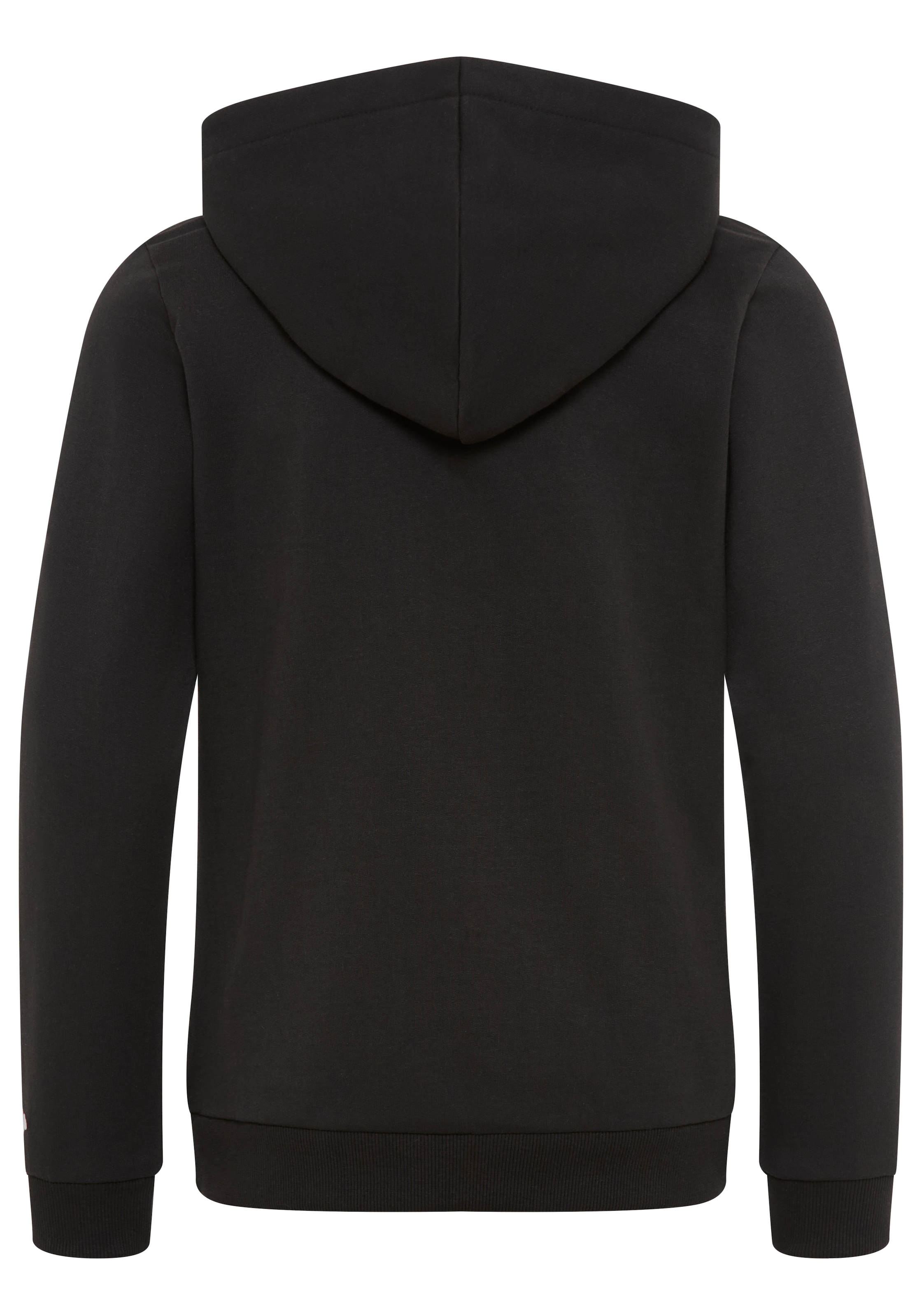 KangaROOS Kapuzensweatshirt »Hoodie mit Logoprint«, Langarm, bedruckt, aus Sweatware mit Baumwolle, mit Kängurutasche