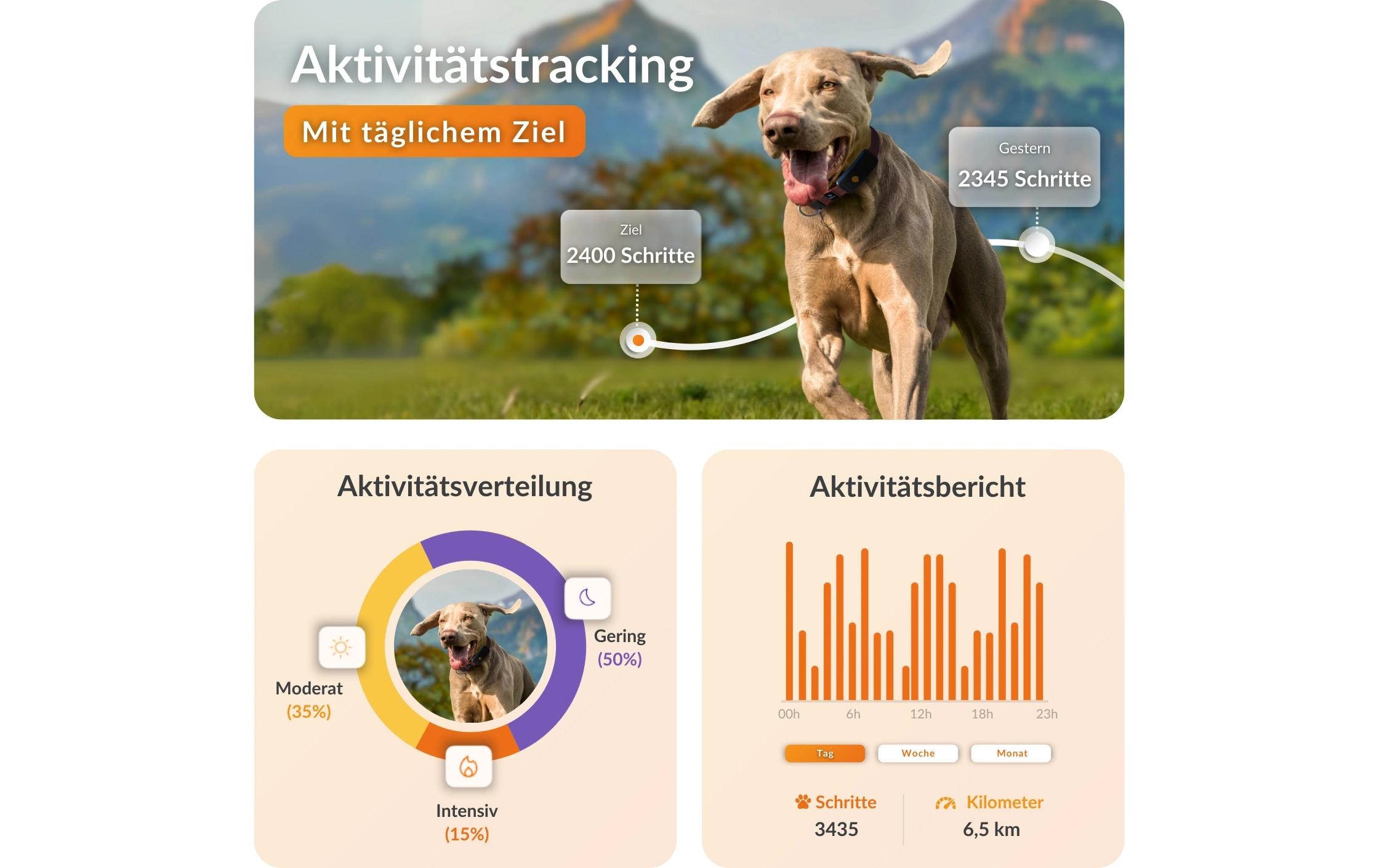   traceur GPS pour chiens »Weenect für Hunde XT ohne Halsband«