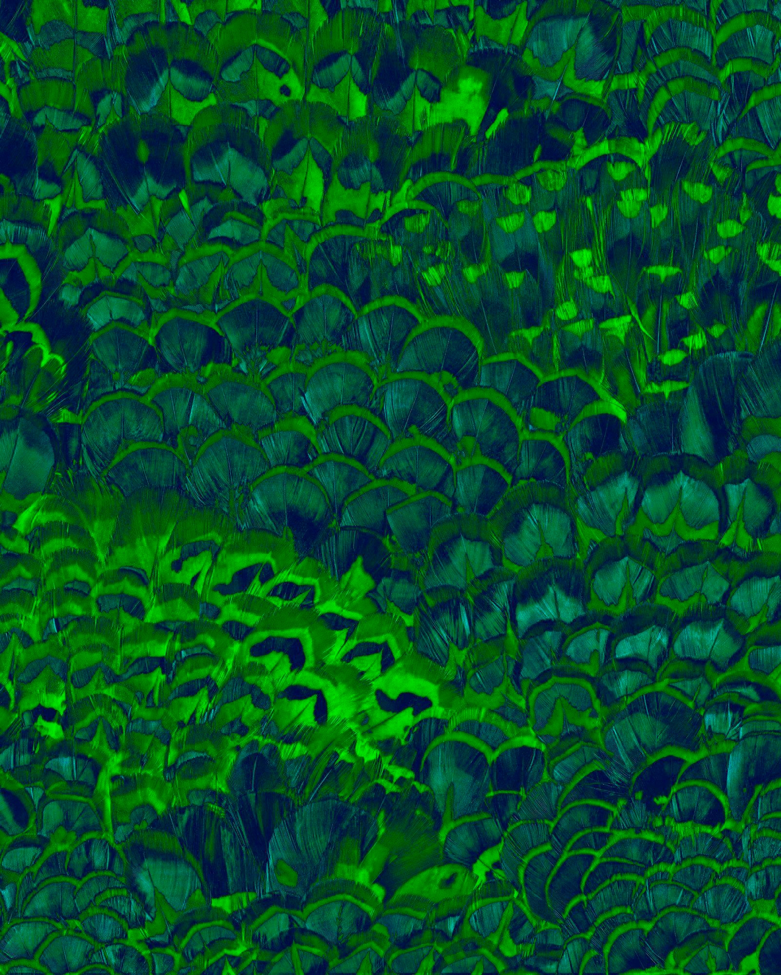 Image of Komar Vliestapete 200x250 cm (Breite x Höhe), Vliestapete, 100 cm Bahnbreite