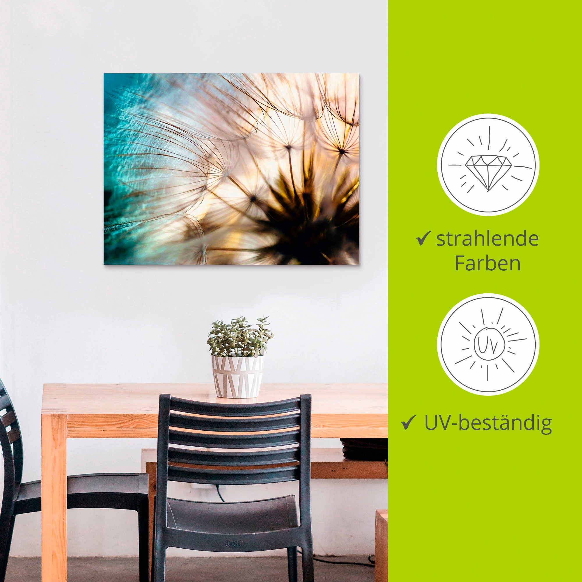 Artland Wandbild »Pusteblume Makro abstrakt« Blumen 1 Stk. tlg. als Alubild, Leinwandbild in verschied. Grössen