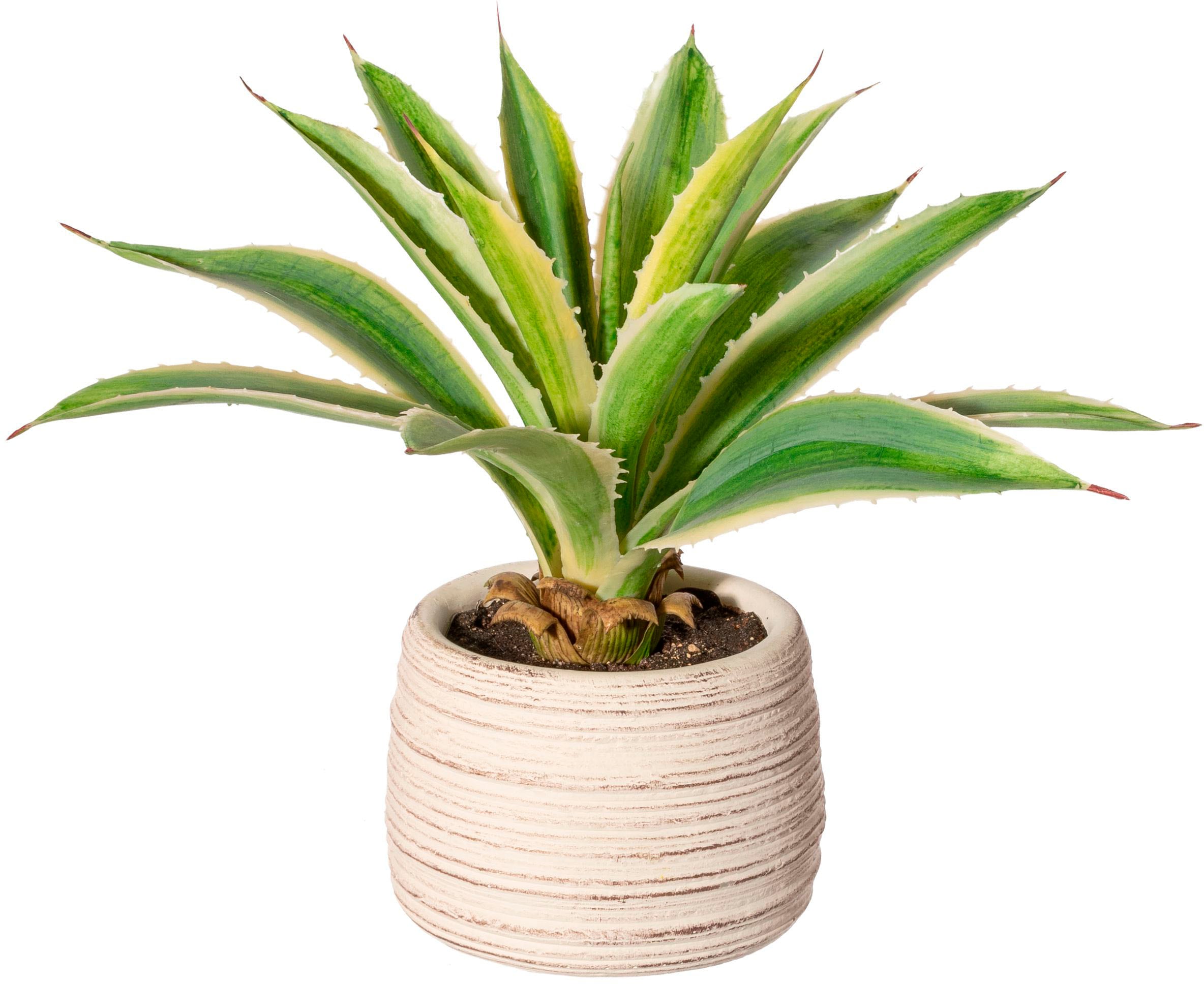 Creativ green Künstliche Zimmerpflanze »Agave im Zementtopf«