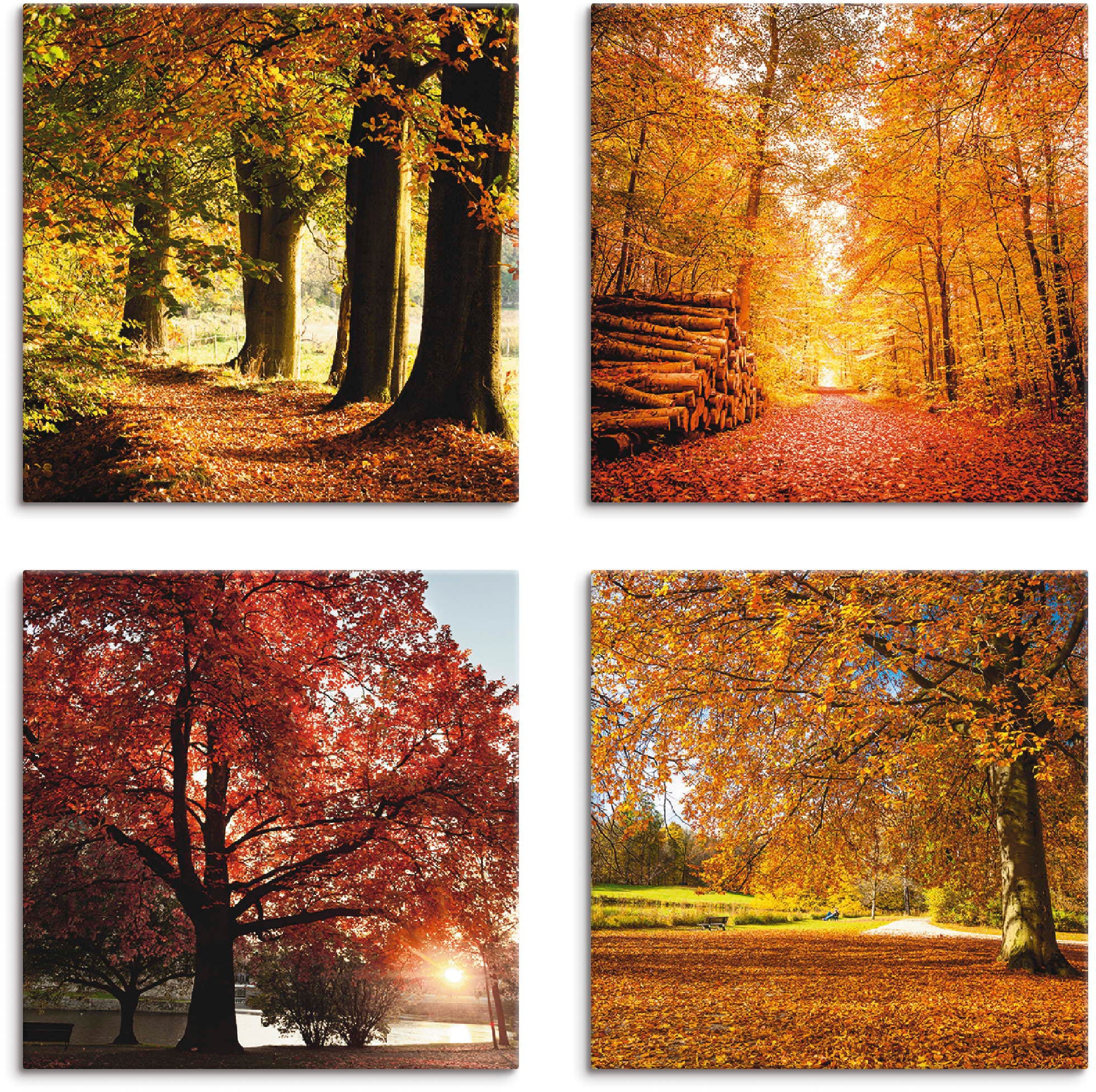 Image of Artland Leinwandbild "Herbstlandschaft" Bäume 4 Stk. tlg. 4er Set, verschiedene Grössen