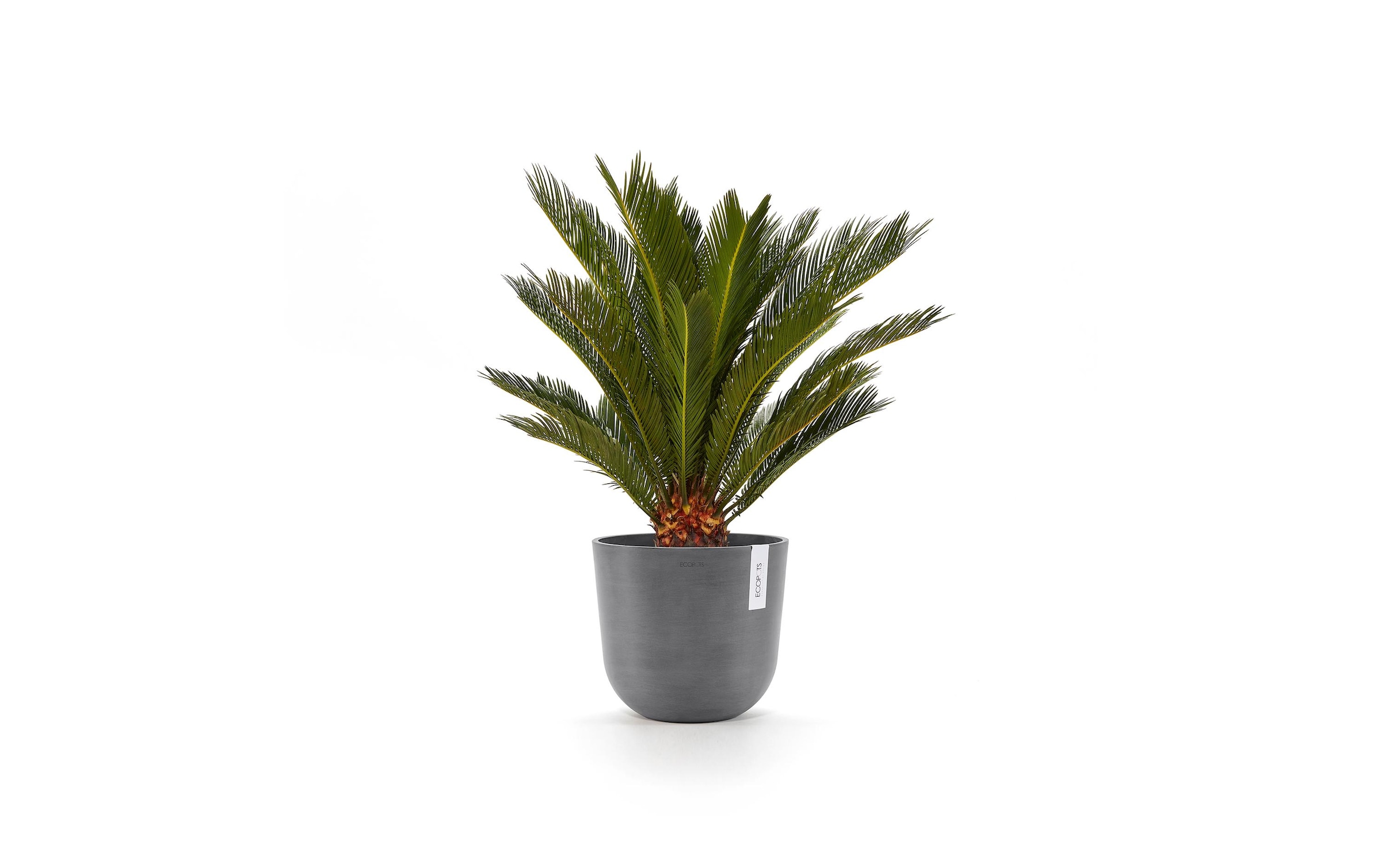 ECOPOTS Blumentopf »Oslo 35 Grau«