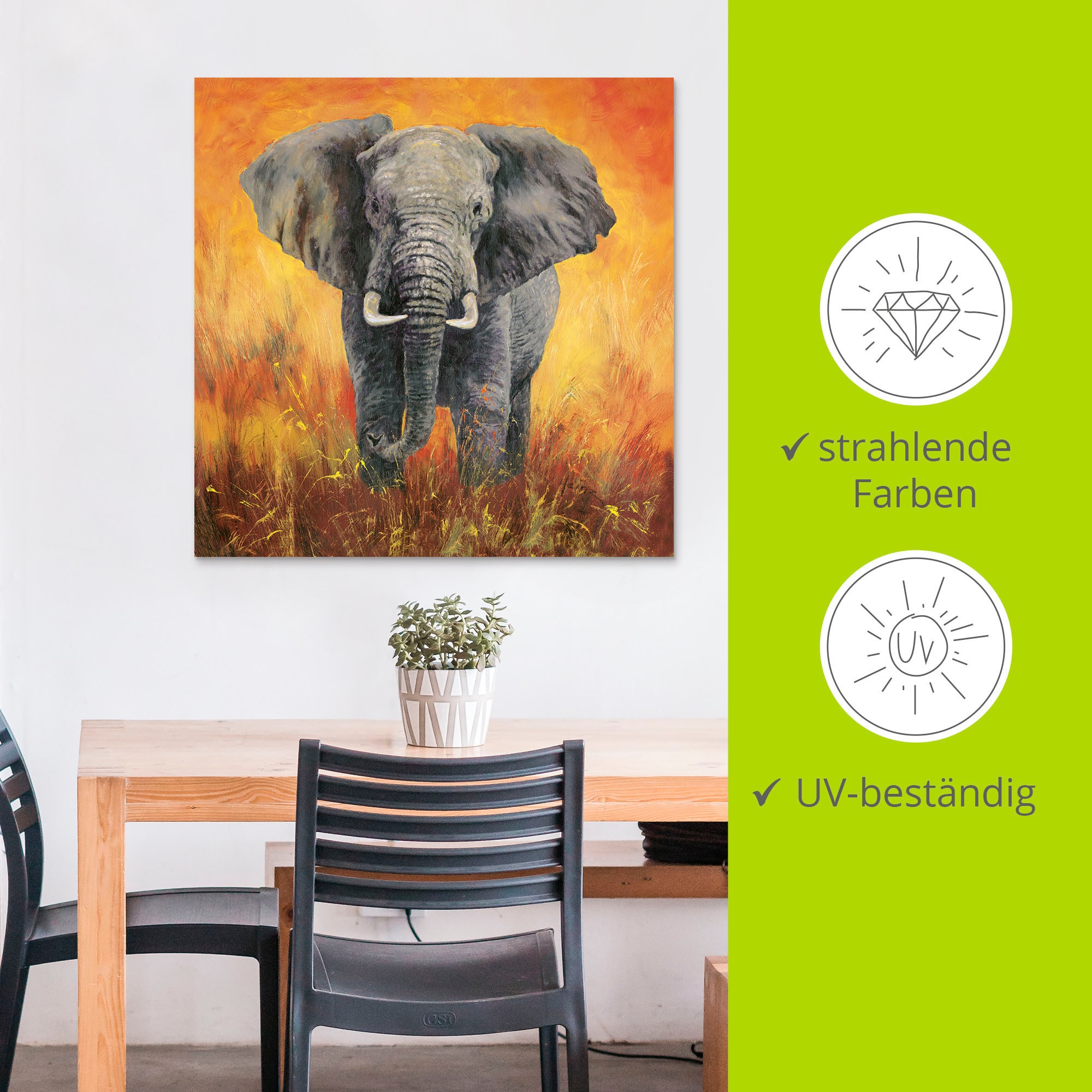 Artland Wandbild »Porträt Elefant«, Elefanten Bilder, (1 St.), als Alubild, Outdoorbild, Leinwandbild in verschied. Grössen