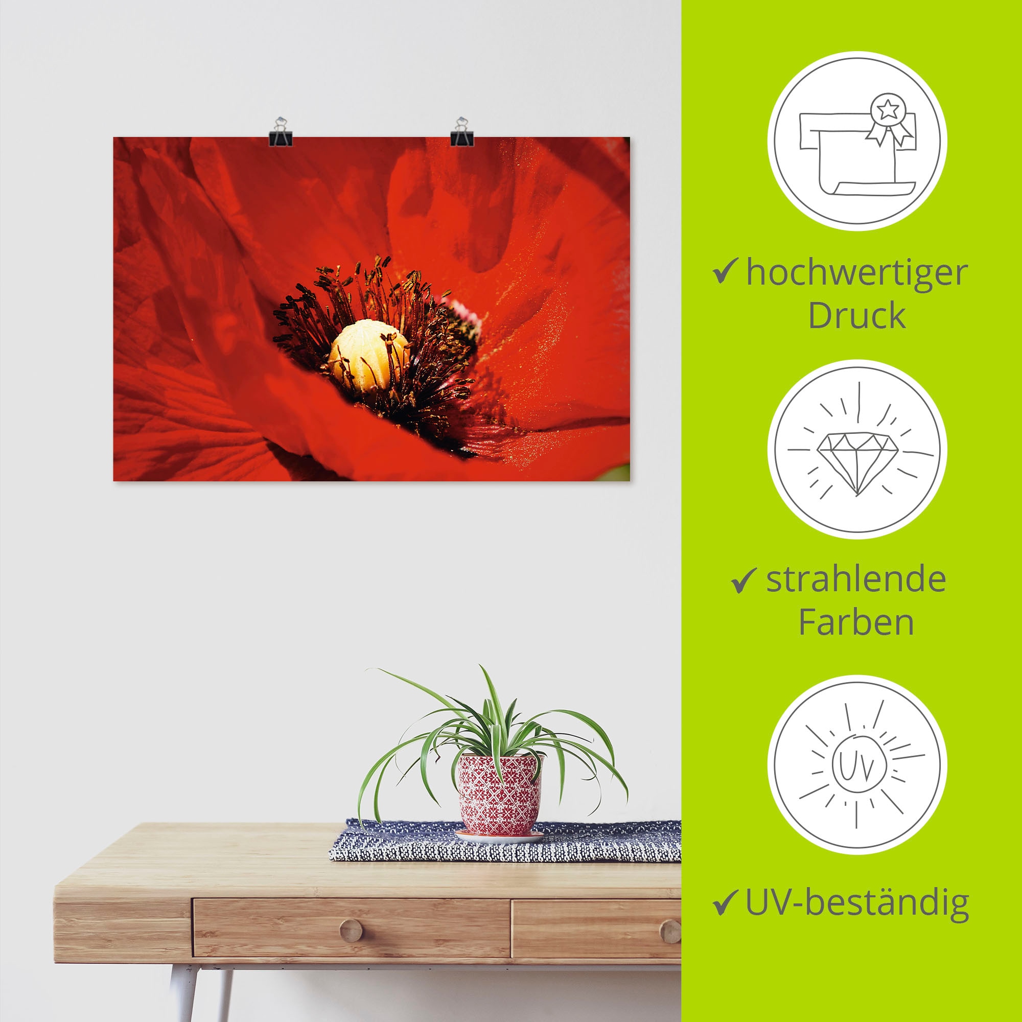 Artland Wandbild »Roter Mohn« Blumen 1 Stk. tlg. als Poster in verschied. Grössen