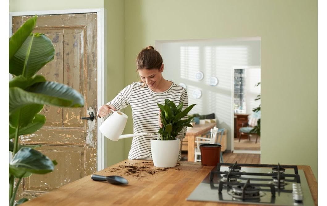 Elho Pot de fleurs »Selbstbewässerungssystem«