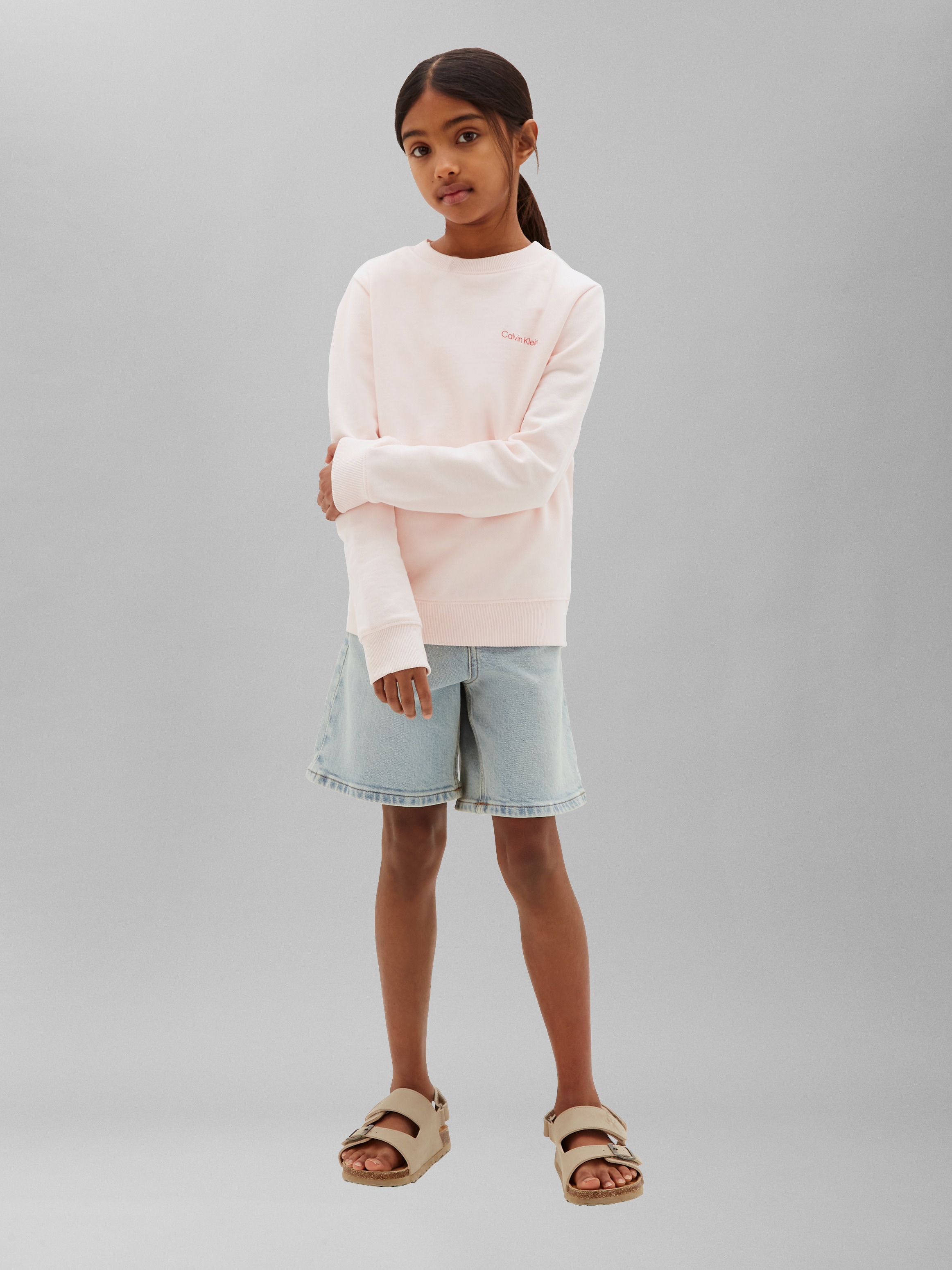 Calvin Klein Jeans Sweatshirt »SMALL CHEST LOGO REGULAR«, Regular fit, Logoschriftzug
