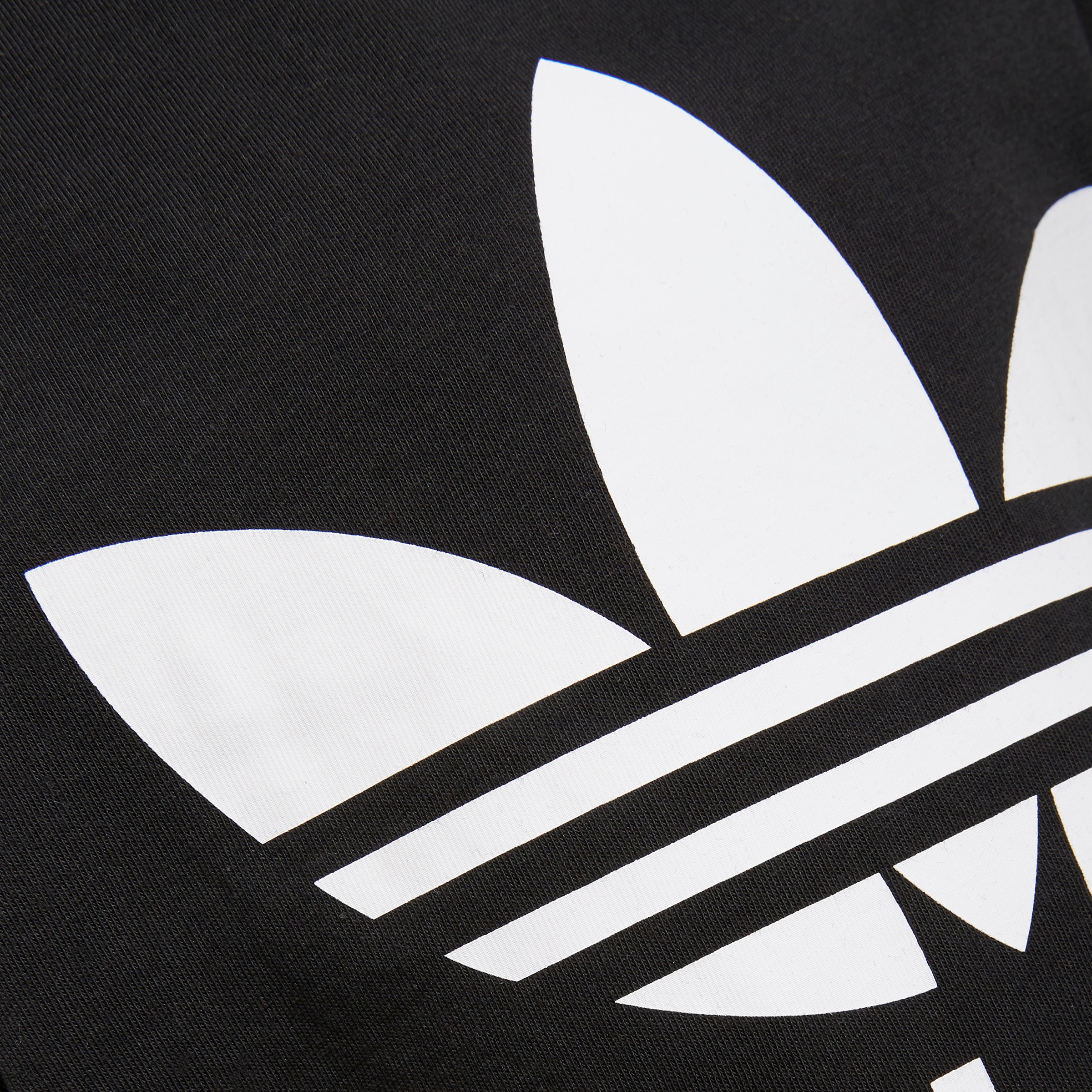 adidas Originals T-Shirt »TREFOIL TEE«