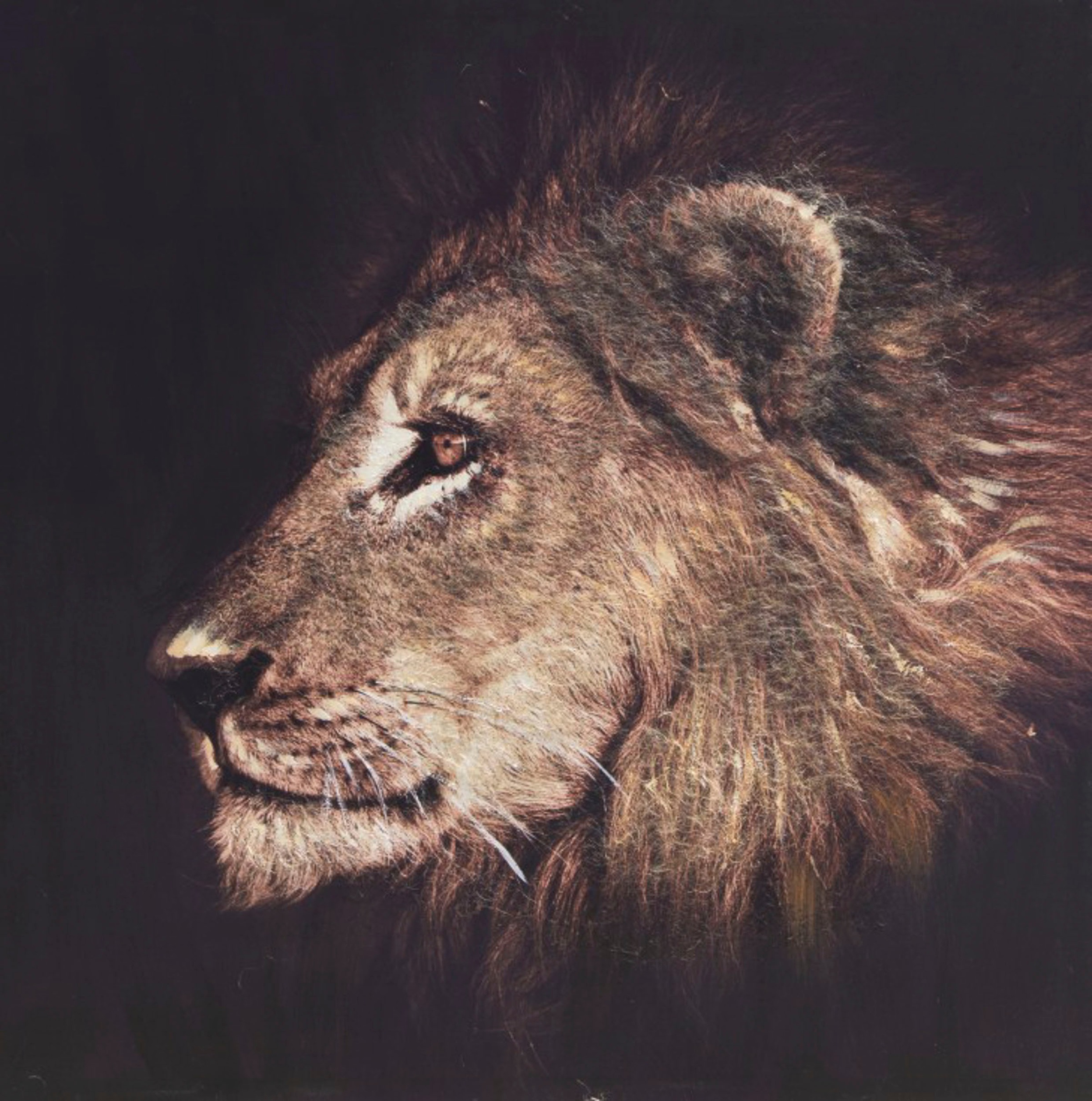 Image of Spiegelprofi GmbH Ölbild »Lion«, (1 St.) bei Ackermann Versand Schweiz