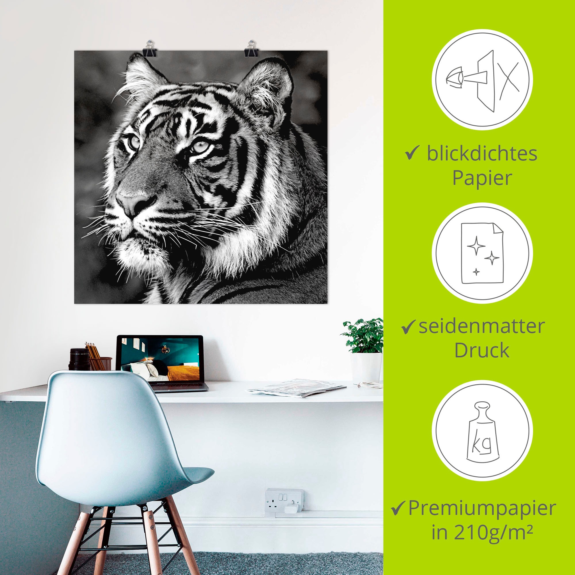 Artland Wandbild »Tiger«, Wildtiere, (1 St.), als Leinwandbild, Poster, Wandaufkleber in verschied. Grössen