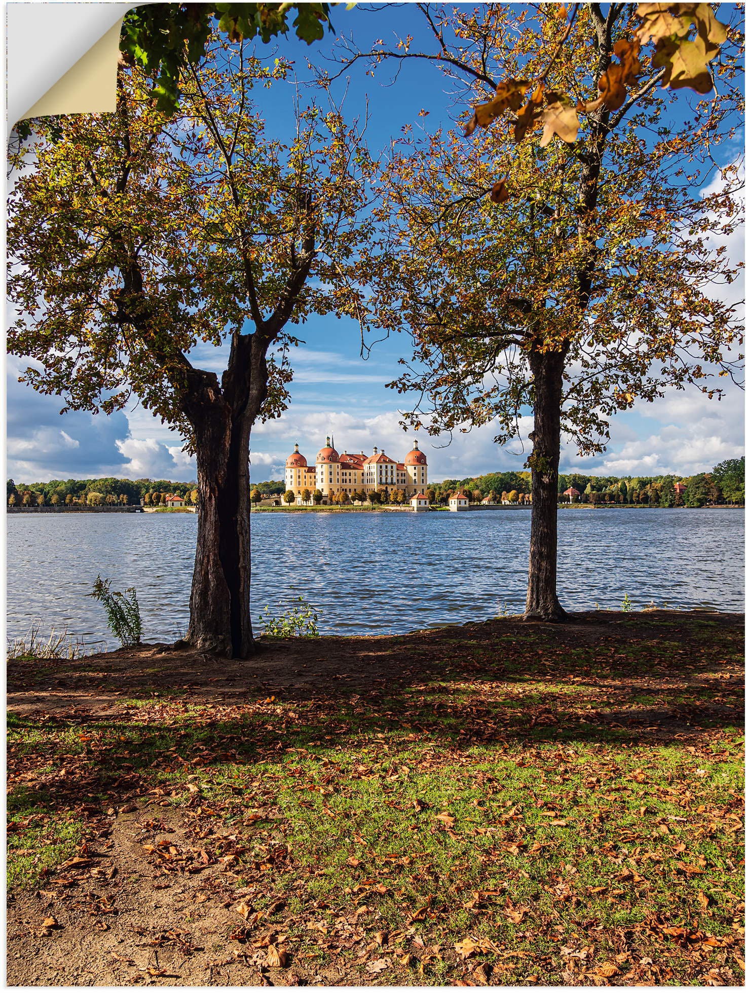 Image of Artland Wandbild »Schloss Moritzburg in Sachsen«, Gebäude, (1 St.), in vielen Grössen & Produktarten - Alubild / Outdoorbild für den Aussenbereich, Leinwandbild, Poster, Wandaufkleber / Wandtattoo auch für Badezimmer geeignet bei Ackermann Versand Schweiz