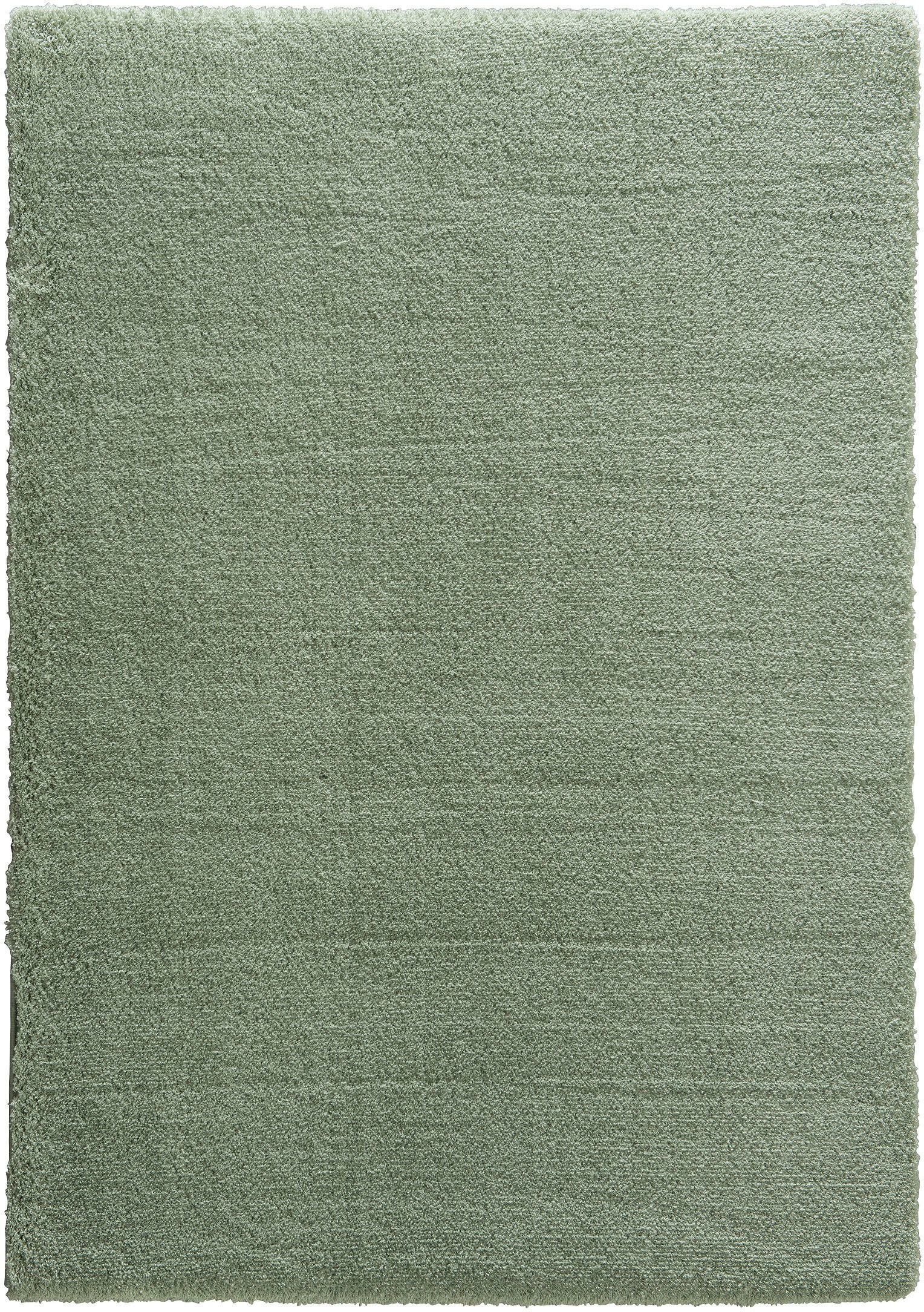 Image of ASTRA Hochflor-Teppich »New Livorno«, rechteckig, 30 mm Höhe, Kurzflor, Wunschmass, Wohnzimmer bei Ackermann Versand Schweiz