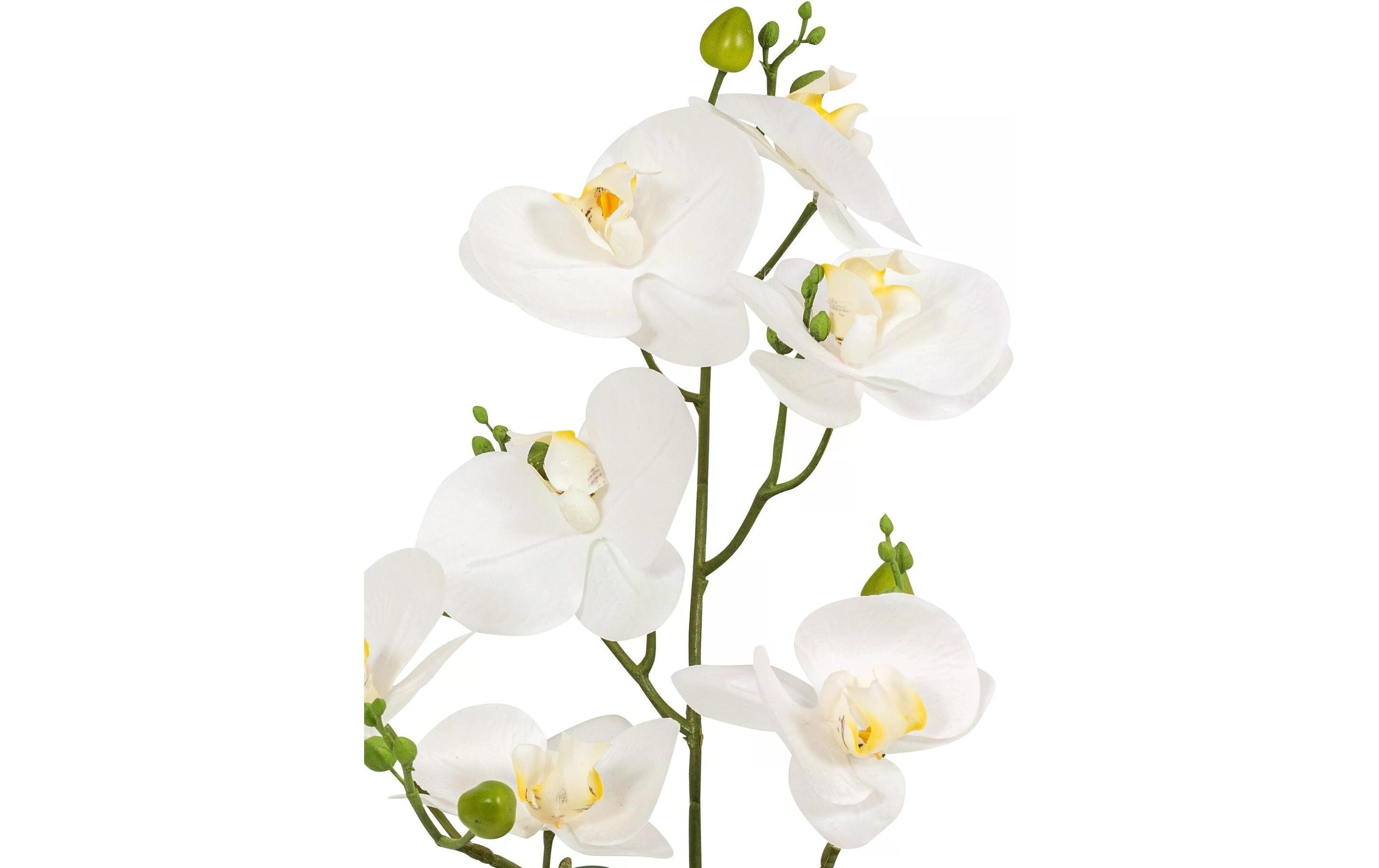 Kunstblume »Dekomat AG Phaleanopsis im Topf 67 cm«