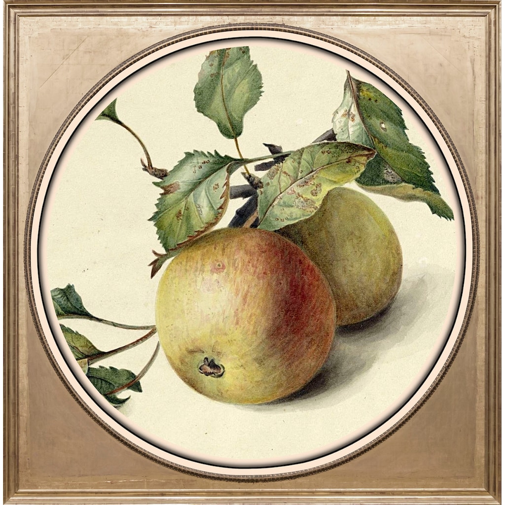 queence Acrylglasbild »Apfel«