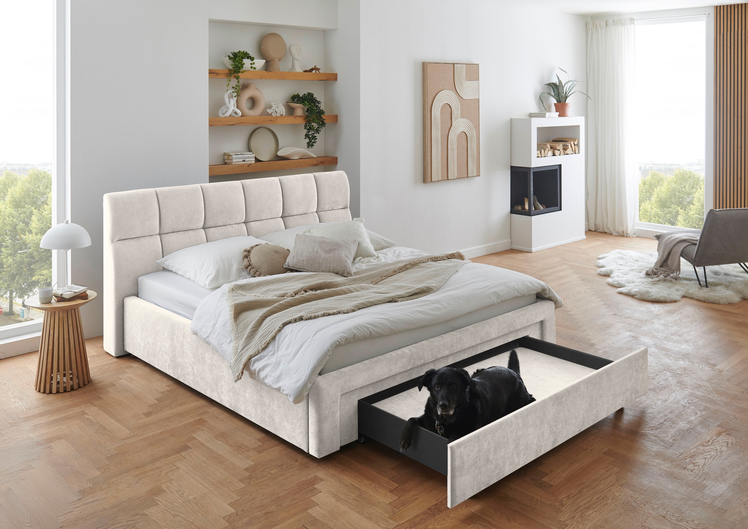 meise.möbel Polsterbett »Canyon, Breite 180cm, erhältlich in grau oder beige« inkl. Schubkasten im Fussteil - ideal als Hundebett nutzbar