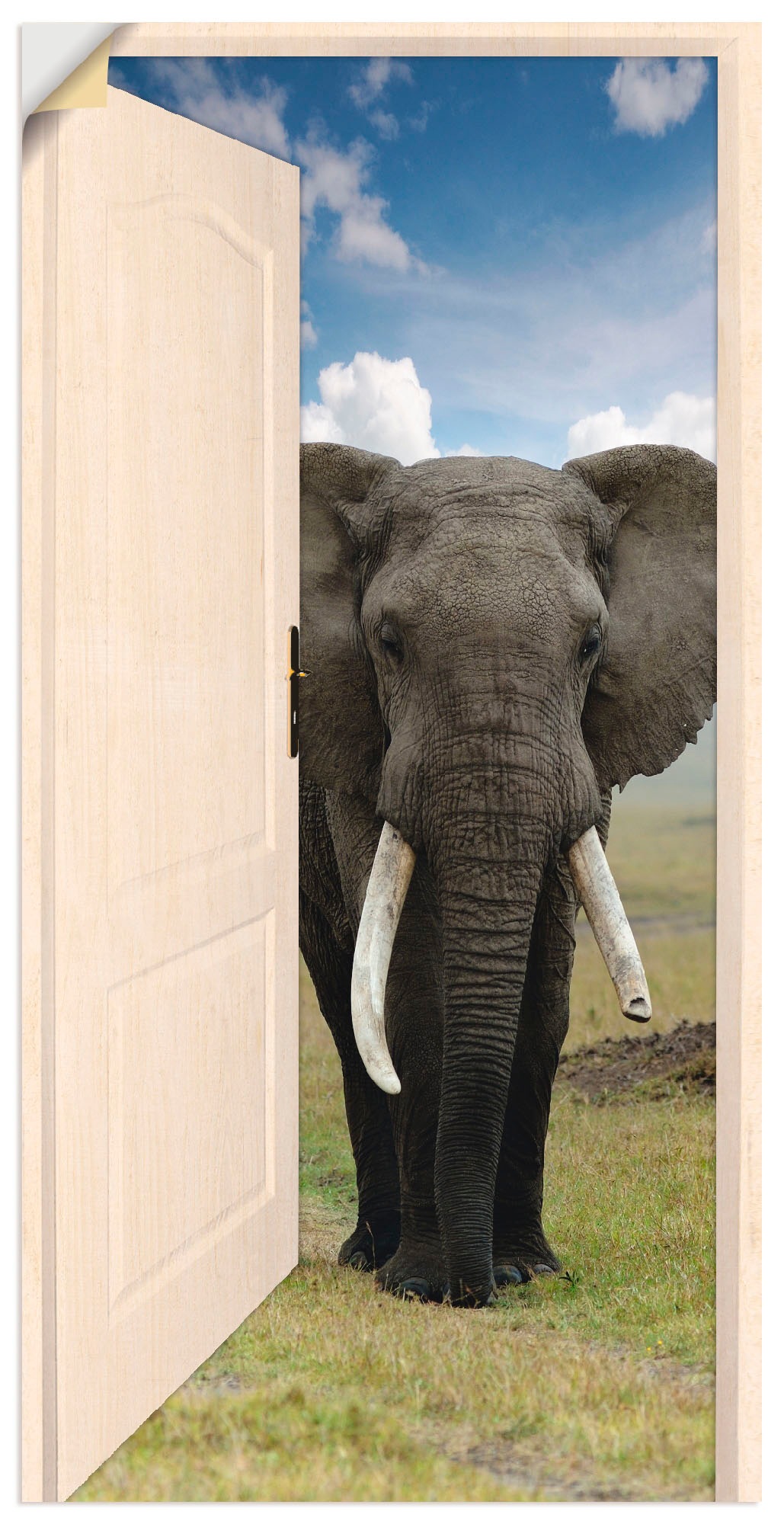Image of Artland Wandbild »Offene weisse Türe mit Blick auf Elefant«, Wildtiere, (1 St.), in vielen Grössen & Produktarten - Alubild / Outdoorbild für den Aussenbereich, Leinwandbild, Poster, Wandaufkleber / Wandtattoo auch für Badezimmer geeignet bei Ackermann Ve