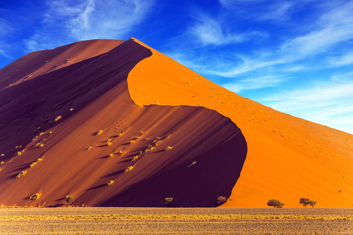 Image of Papermoon Fototapete »Düne«, Vliestapete, hochwertiger Digitaldruck, inklusive Kleister bei Ackermann Versand Schweiz