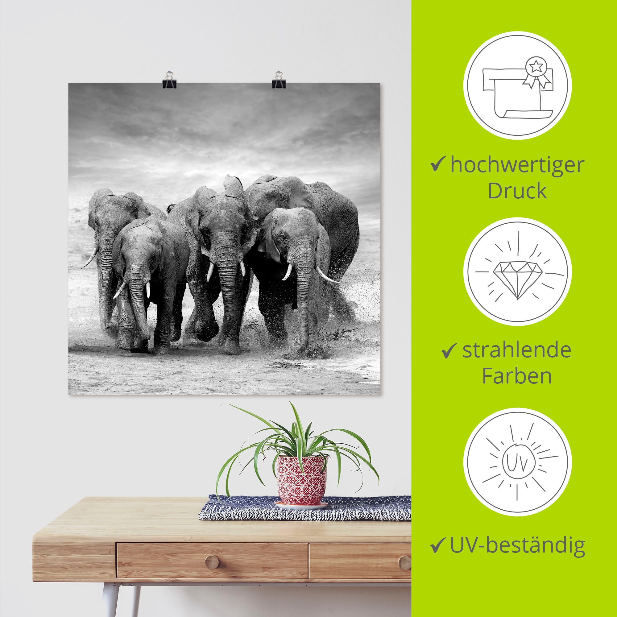 Artland Wandbild »Elefanten« Wildtiere 1 Stk. tlg. als Leinwandbild, Poster in verschied. Grössen