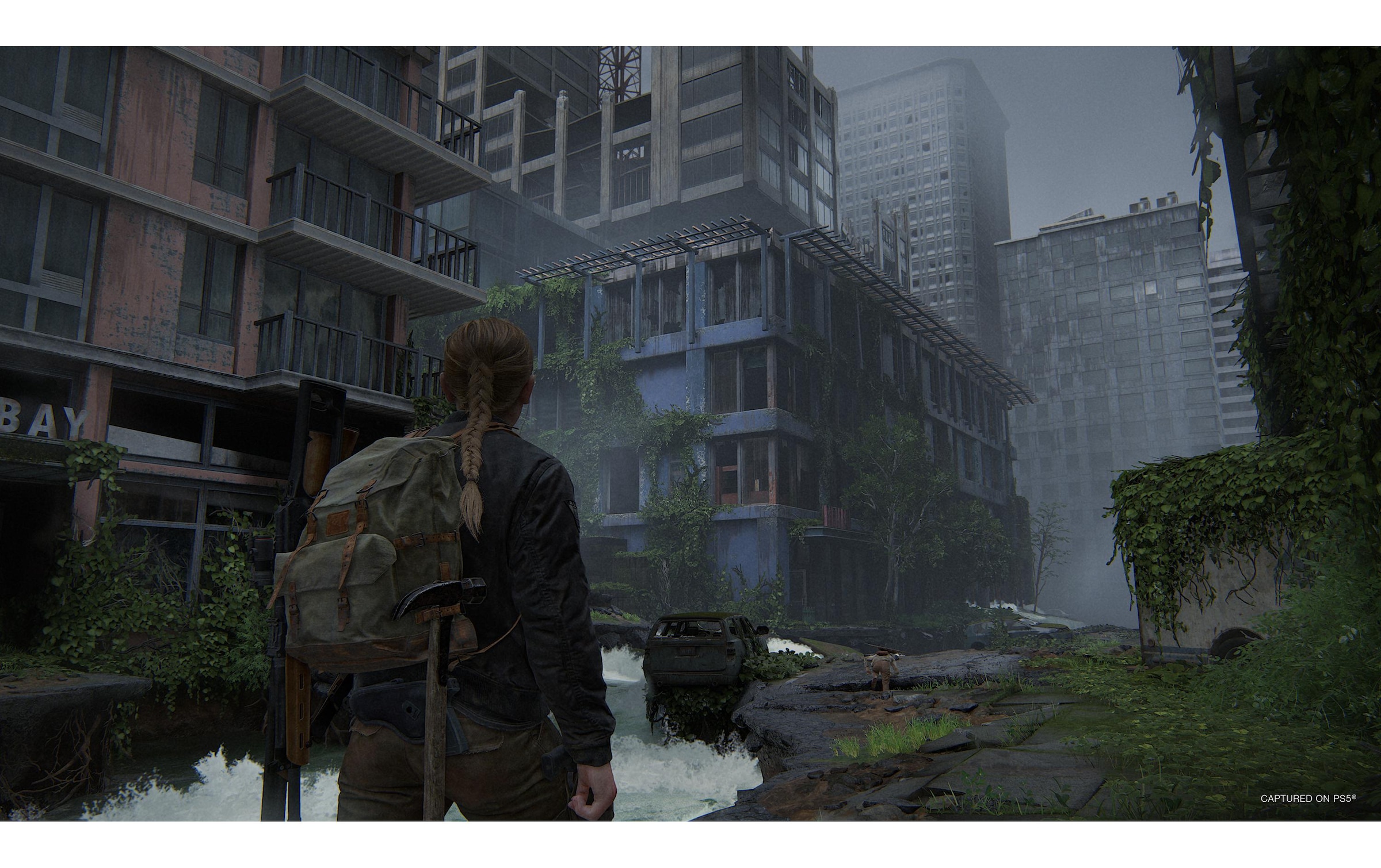 Sony Spielesoftware »The Last of Us Part II«, PlayStation 5