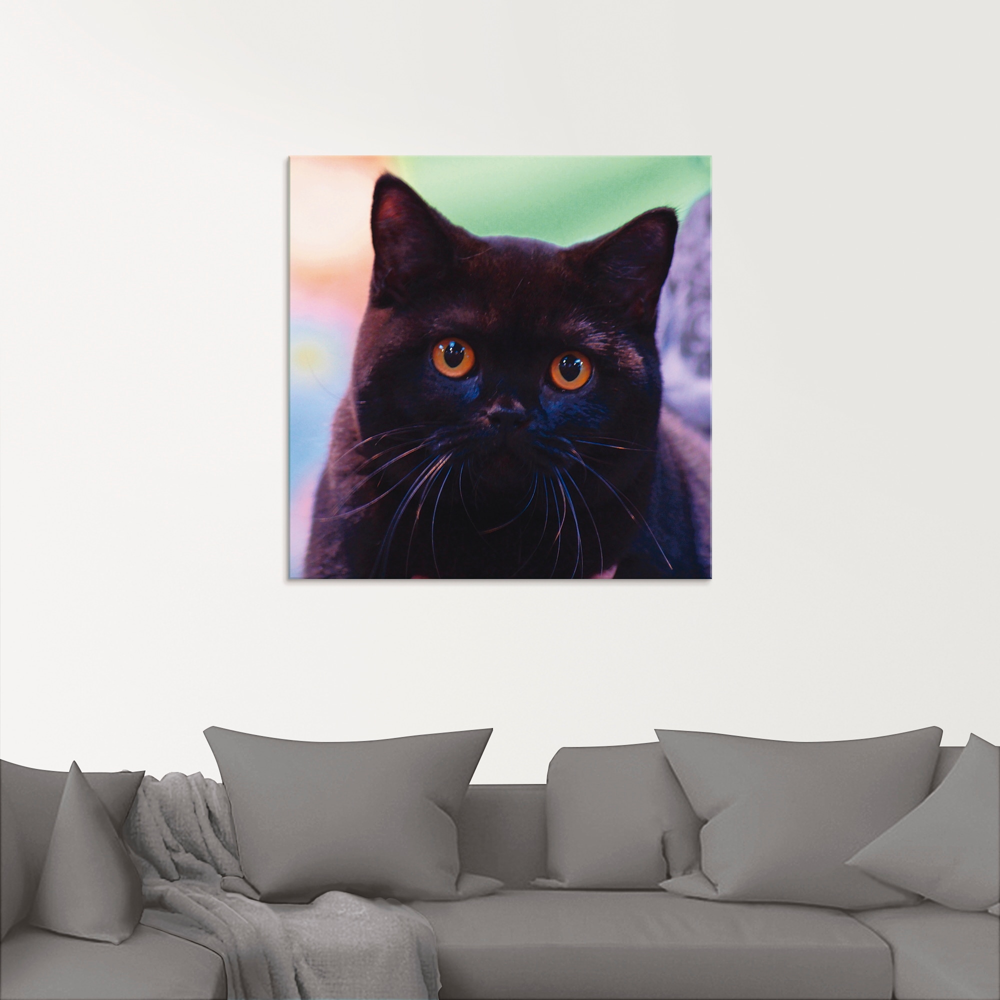 Artland Glasbild »Schwarze Britisch Kurzhaarkatze«, Haustiere, (1 St.), in verschiedenen Grössen