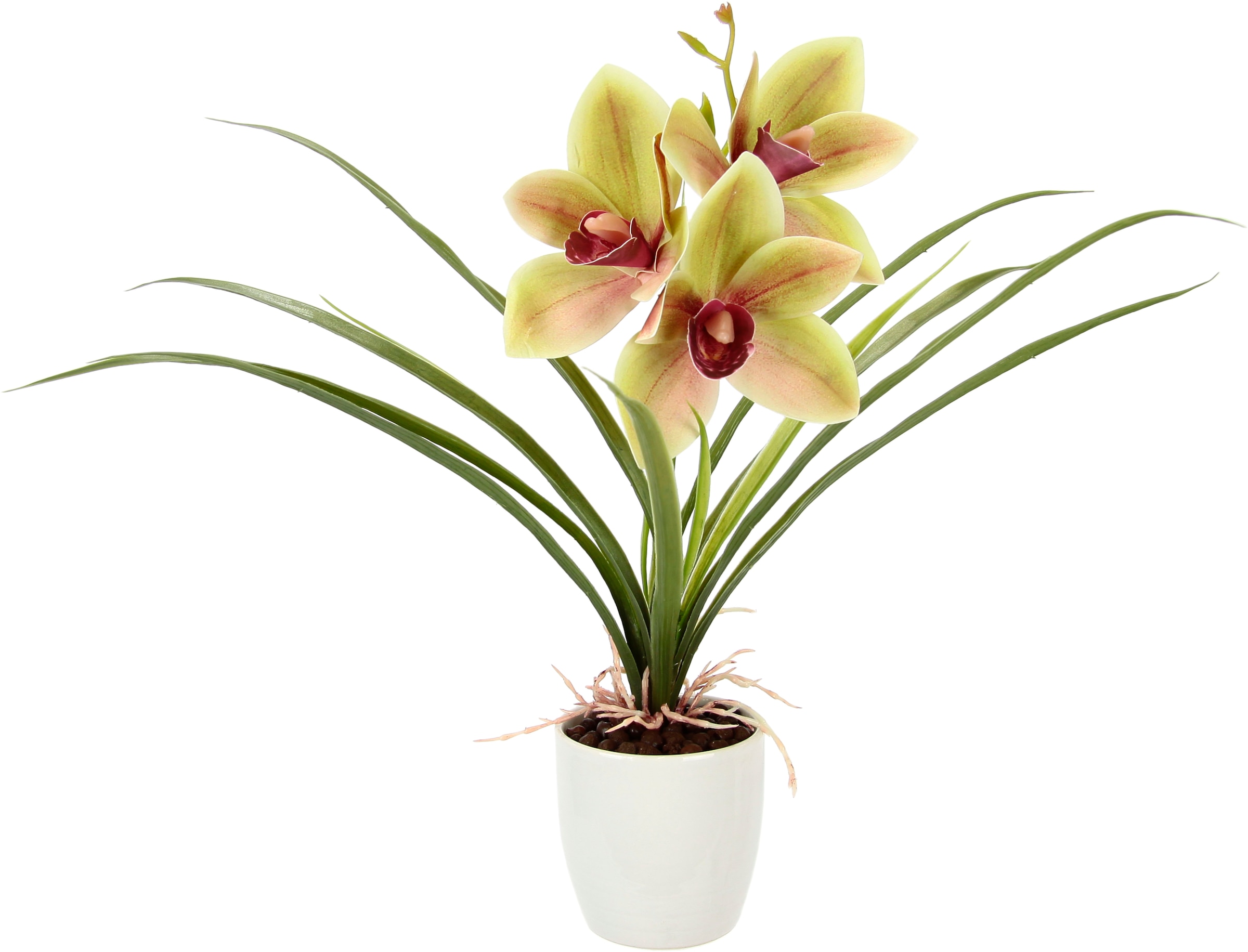 I.GE.A. Kunstblume Blume Blätter im bequem Topf Künstliche kaufen »Orchidee«, Mit aus Cymbidium-Orchidee Keramik