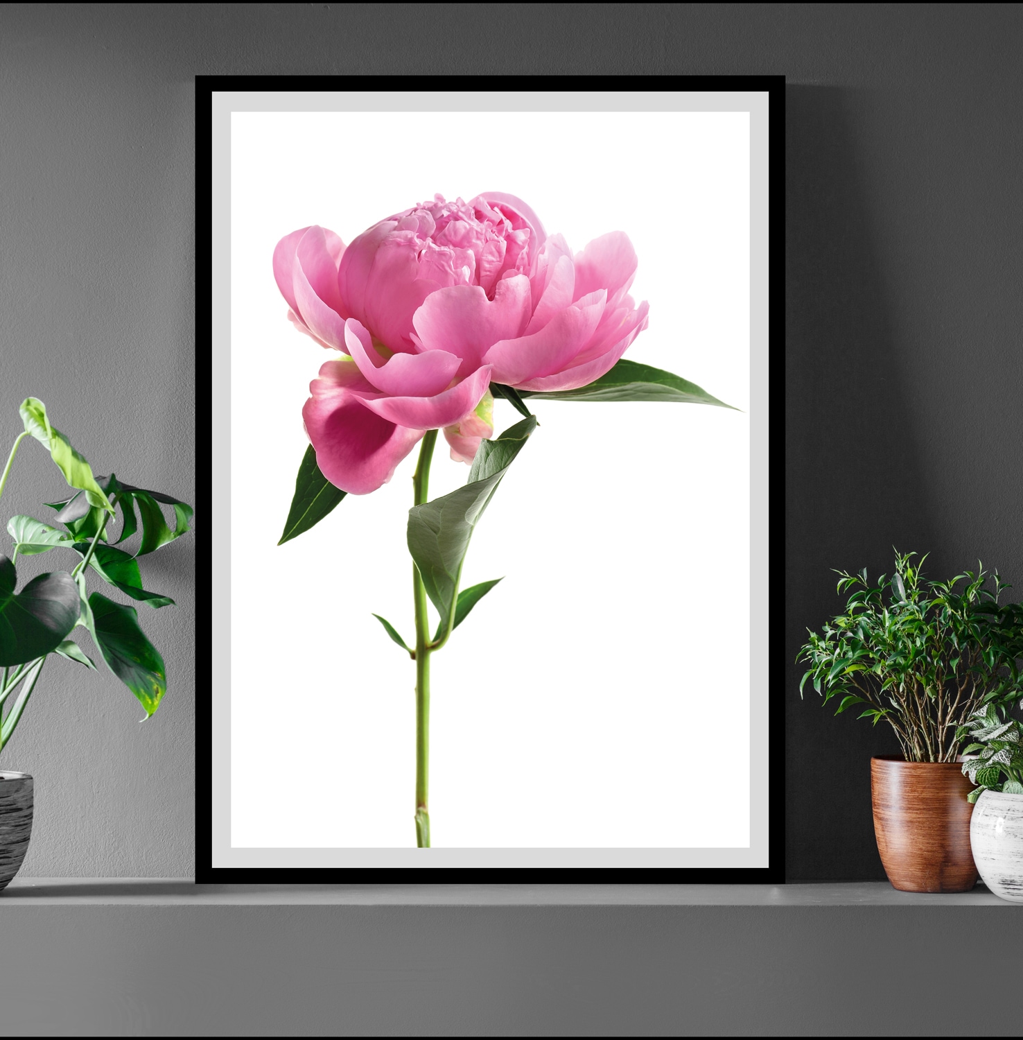 Image of queence Bild "Gundula" Blumen Foto Pflanzen Pflanzenbilder gerahmt, Rosen