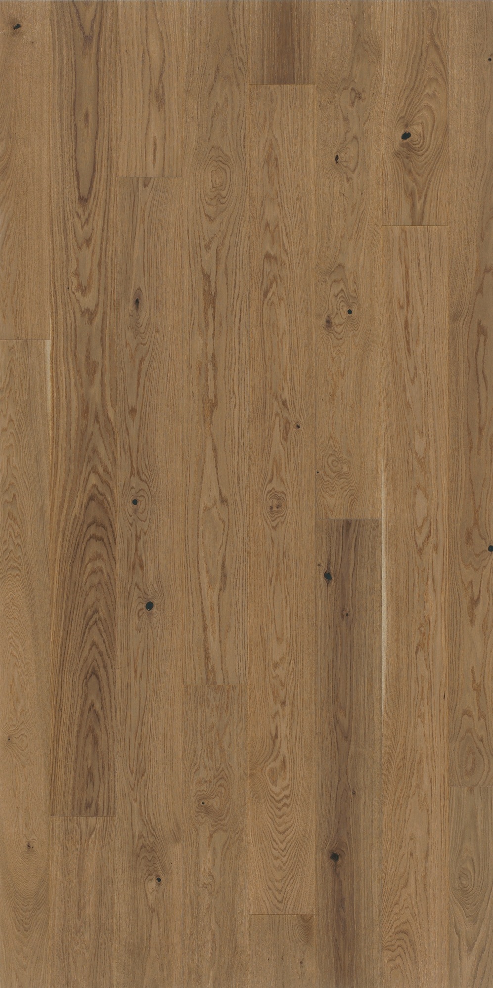 Image of PARADOR Parkett »Trendtime 4 Living - Eiche nougat, lackiert«, (Packung), Klicksystem, 2010 x 160 mm, Stärke: 13 mm, 2,89 m² bei Ackermann Versand Schweiz