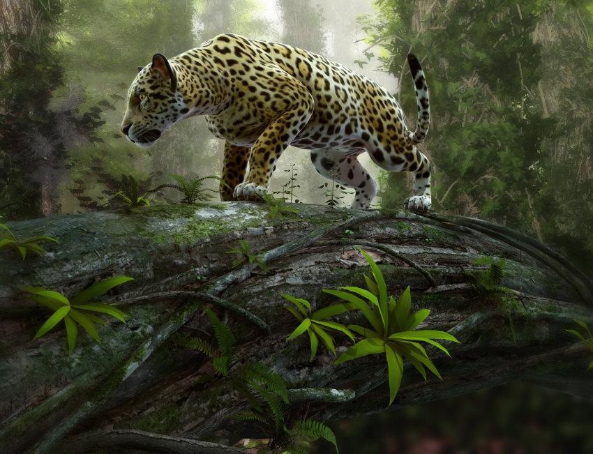 Image of Home affaire Fototapete »Jaguar on the Prowl« bei Ackermann Versand Schweiz