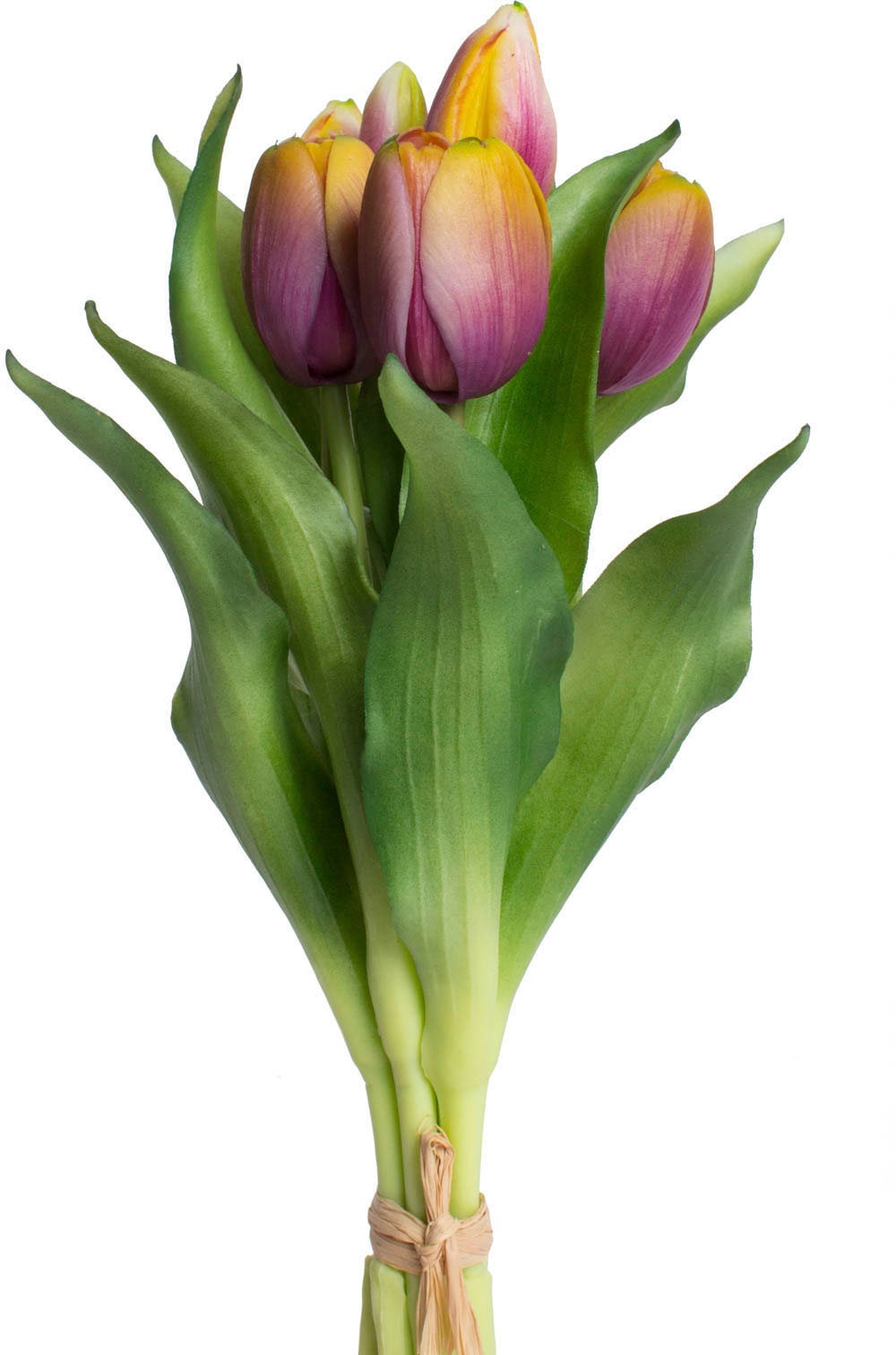 kaufen Botanic-Haus Kunstblume bequem im 7er-Set »Willa«, Tulpenbündel