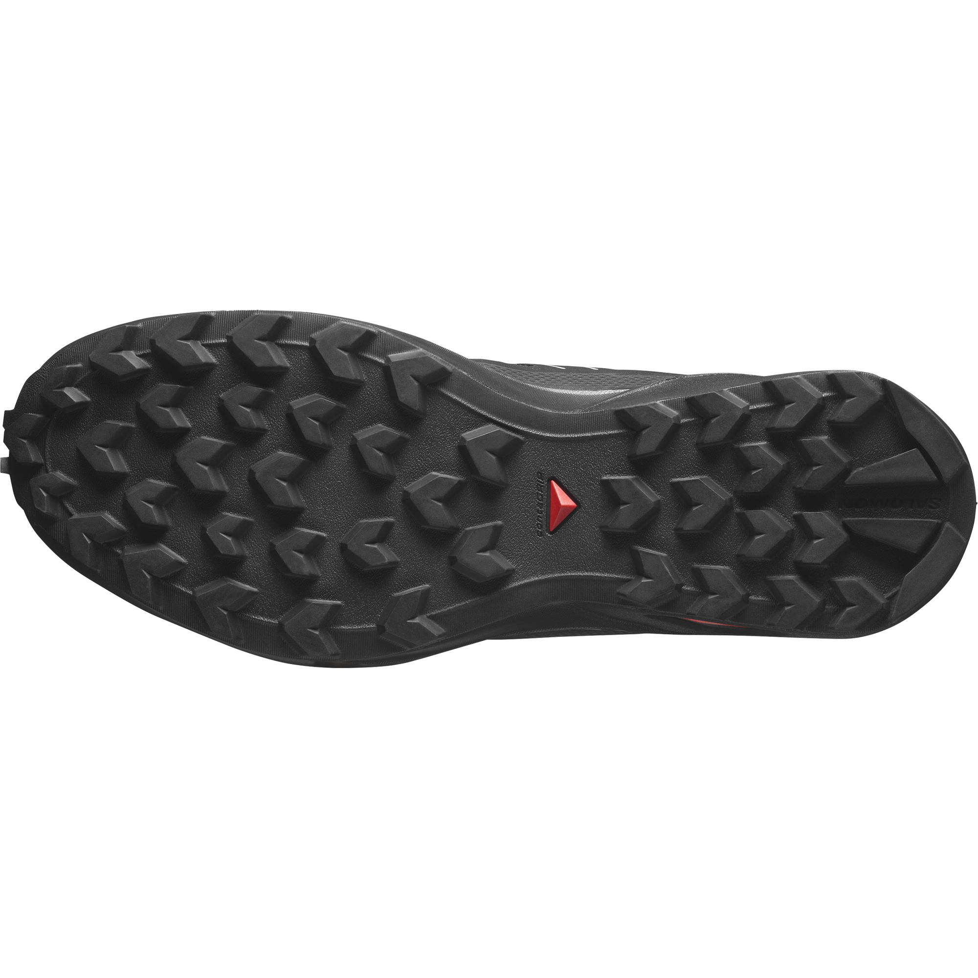 Salomon Chaussures de trail »SPEEDCROSS PEAK«  étanche