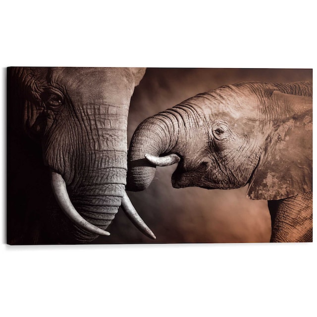 Reinders! Wandbild »Wandbild Elefanten Familie Afrika - Mutterliebe -  Rüssel - Stosszähne«, Elefanten, (1 St.) günstig kaufen
