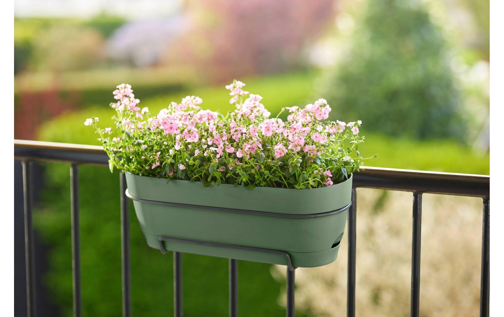 Elho Blumentopf »Vibia Campana Balkonkasten Allin1 50 cm«