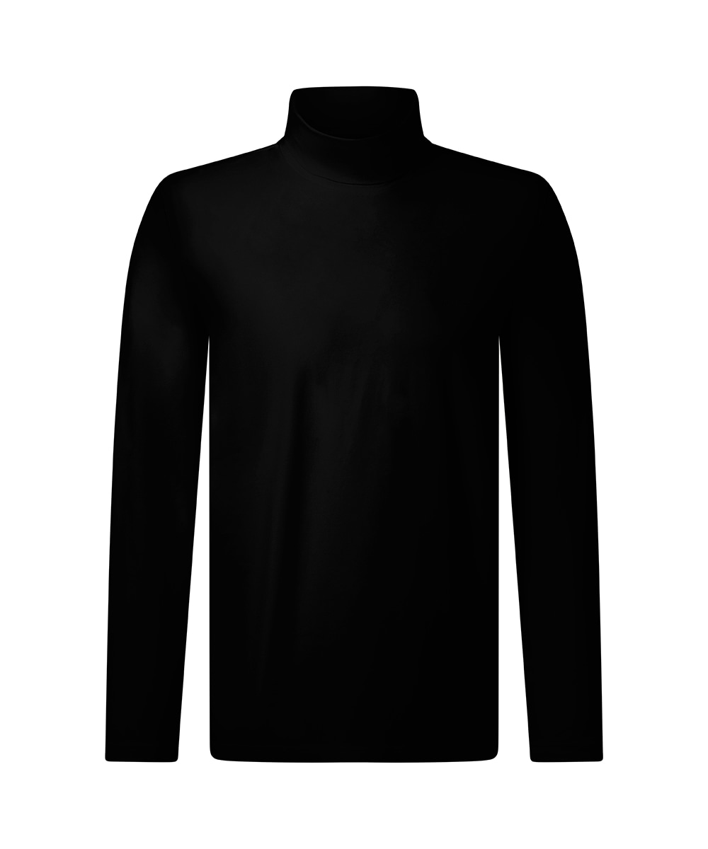 Pierre Cardin Rollkragenshirt unifarben, Baumwolle mit Stretch