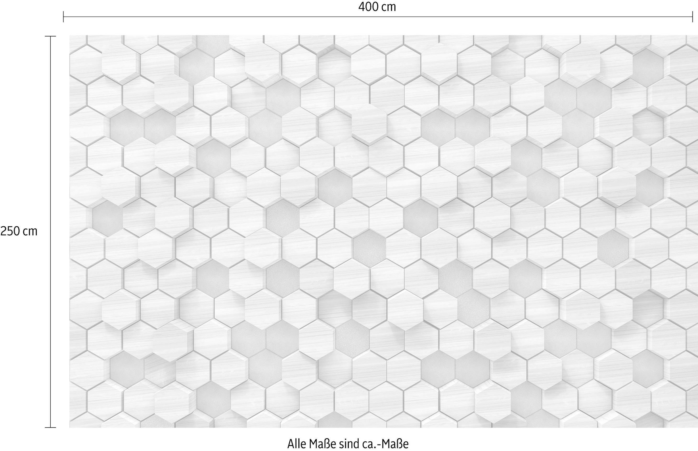 Komar Vliestapete »Digitaldruck Vlies -  Woodcomb Birch - Grösse 400 x 250 cm« bedruckt glatt Wohnzimmer, Schlafzimmer